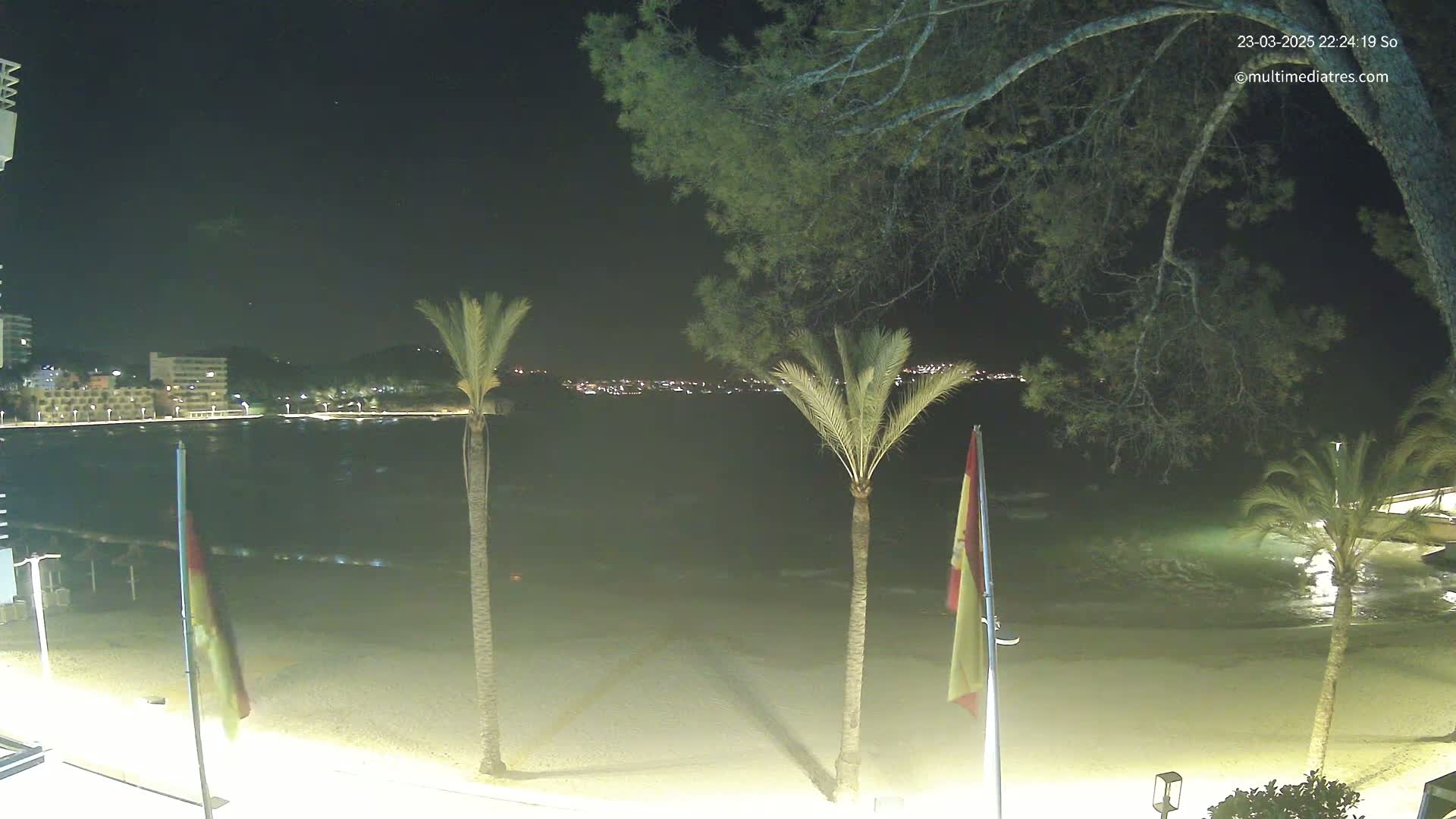 A nighttime view of a sandy beach with calm water, palm trees, and city lights in the distance under a clear sky.