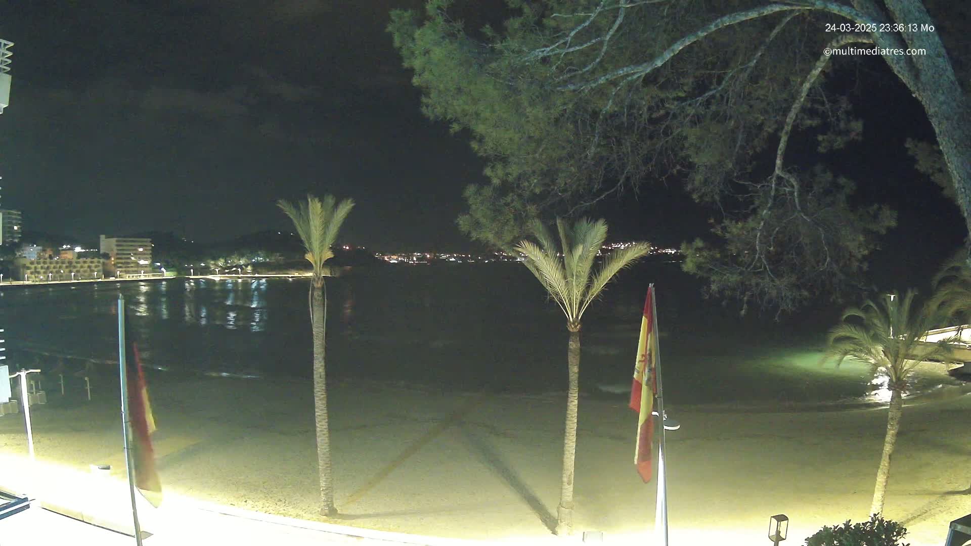 A nighttime beach scene shows a calm, dark body of water reflecting the lights of buildings across the bay, with several palm trees and flags lining a sandy shore under a clear, dark sky.