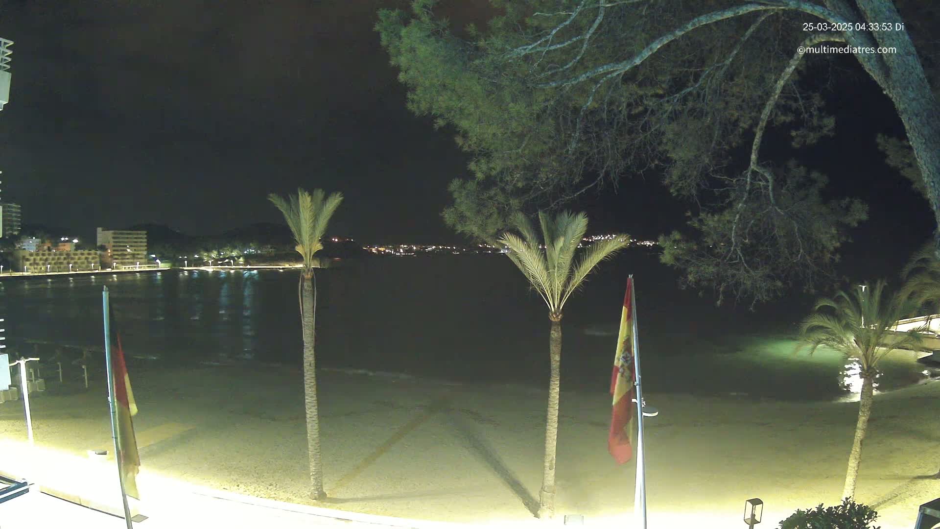 A nighttime view of a sandy beach, calm water, and palm trees, with a town's lights visible in the distance under a dark sky.