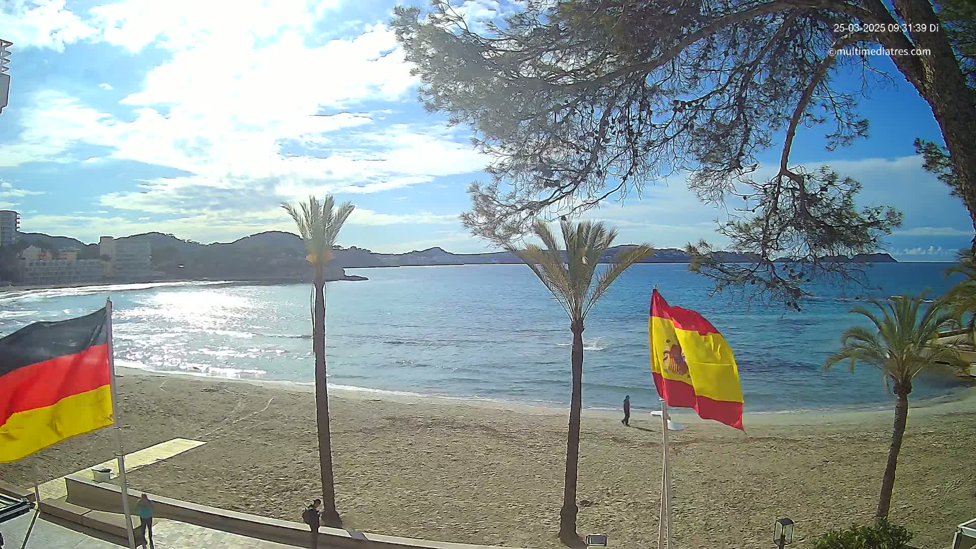 A sandy beach with calm, blue water and palm trees under a mostly sunny sky.