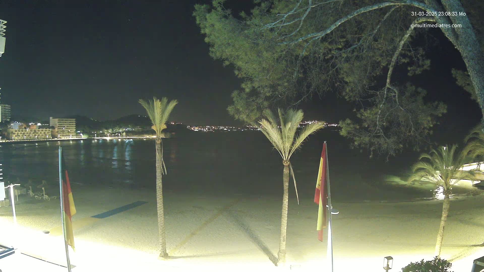 A nighttime view of a sandy beach with palm trees, flags, and a calm body of water reflecting city lights across from a shoreline with buildings.