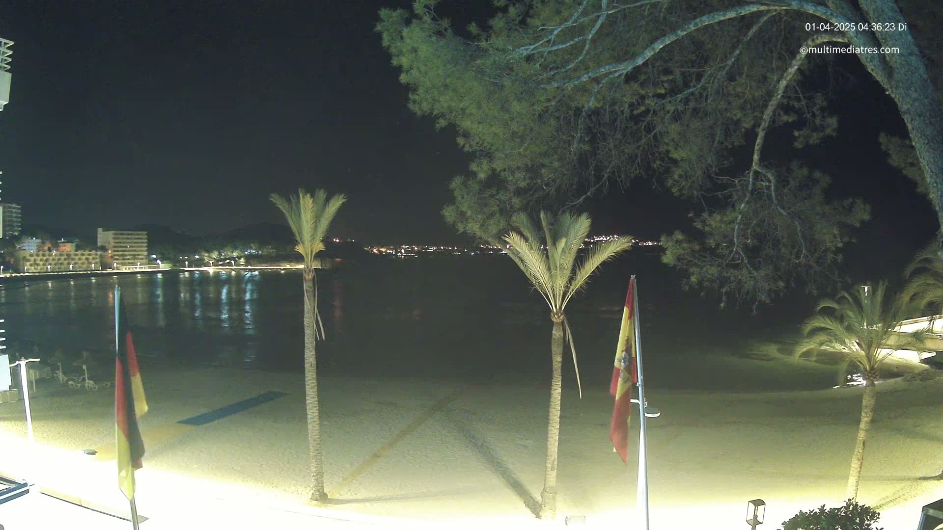 A nighttime view of a sandy beach with palm trees, flags, and a calm body of water reflecting the lights of buildings across the water.