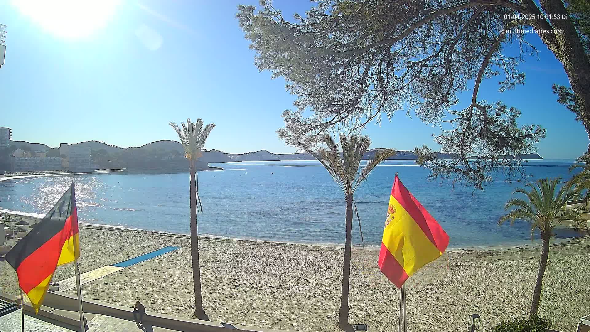 A sunny day at a beach with calm blue water, palm trees, and two flags planted in the sand.