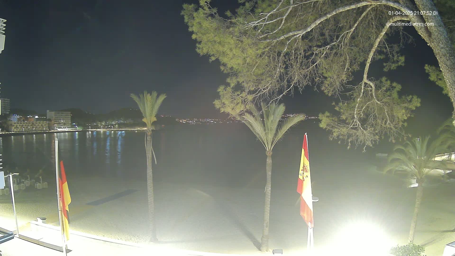 A nighttime view of a sandy beach with calm water, palm trees, and flags, under a clear, dark sky, with city lights visible in the distance.