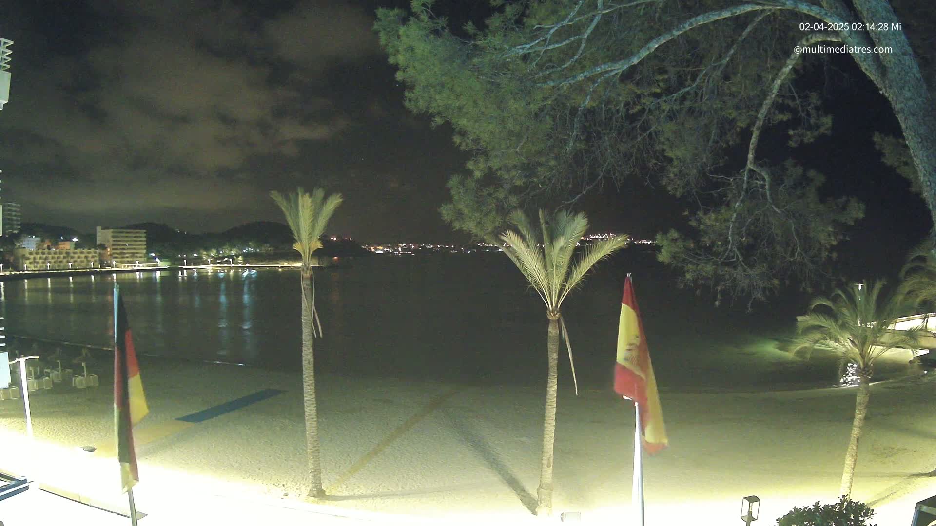 A nighttime view of a calm beach with palm trees and flags, under a partly cloudy sky.