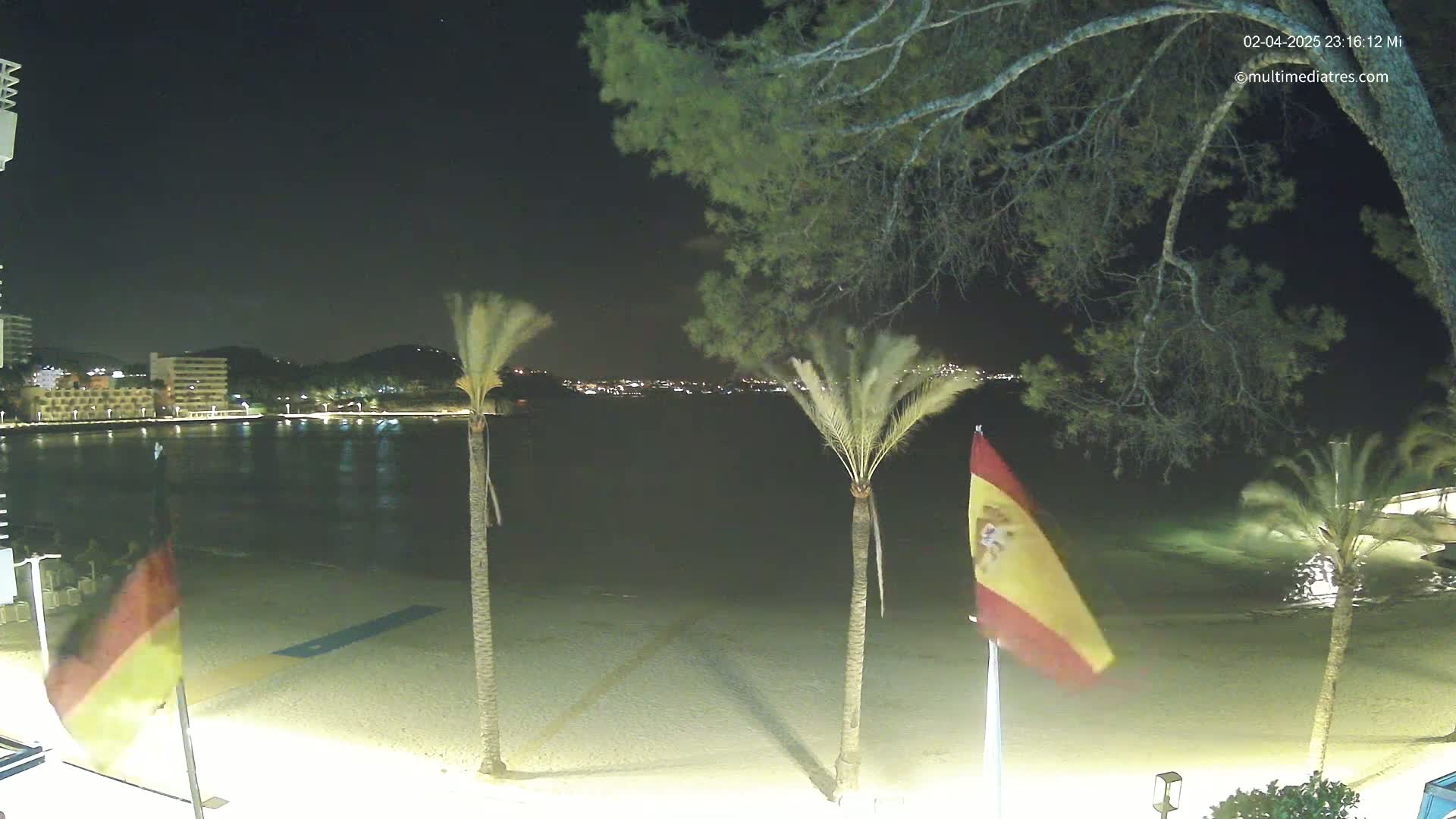 A nighttime view of a sandy beach with palm trees, flags, and a calm body of water reflecting distant city lights under a clear sky.