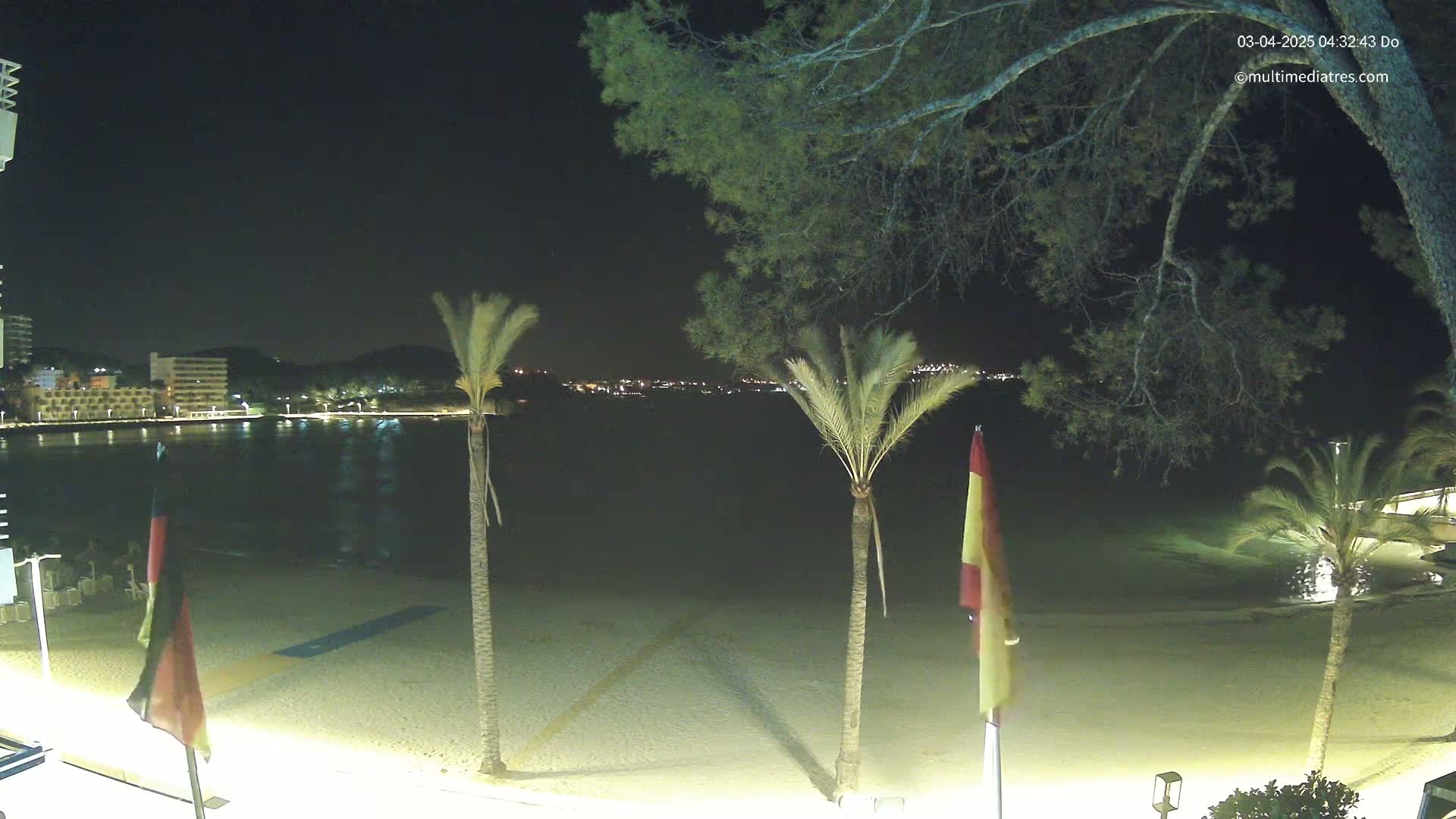A nighttime beach scene shows a sandy shore, palm trees, calm water, and distant lights from buildings across the bay under a clear, dark sky.