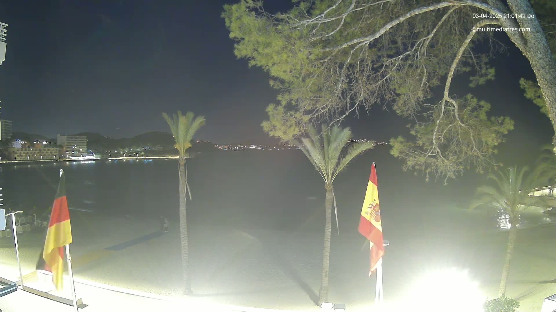 A nighttime beach scene shows calm water, a sandy shore, palm trees, and flags on poles, under a clear dark sky.