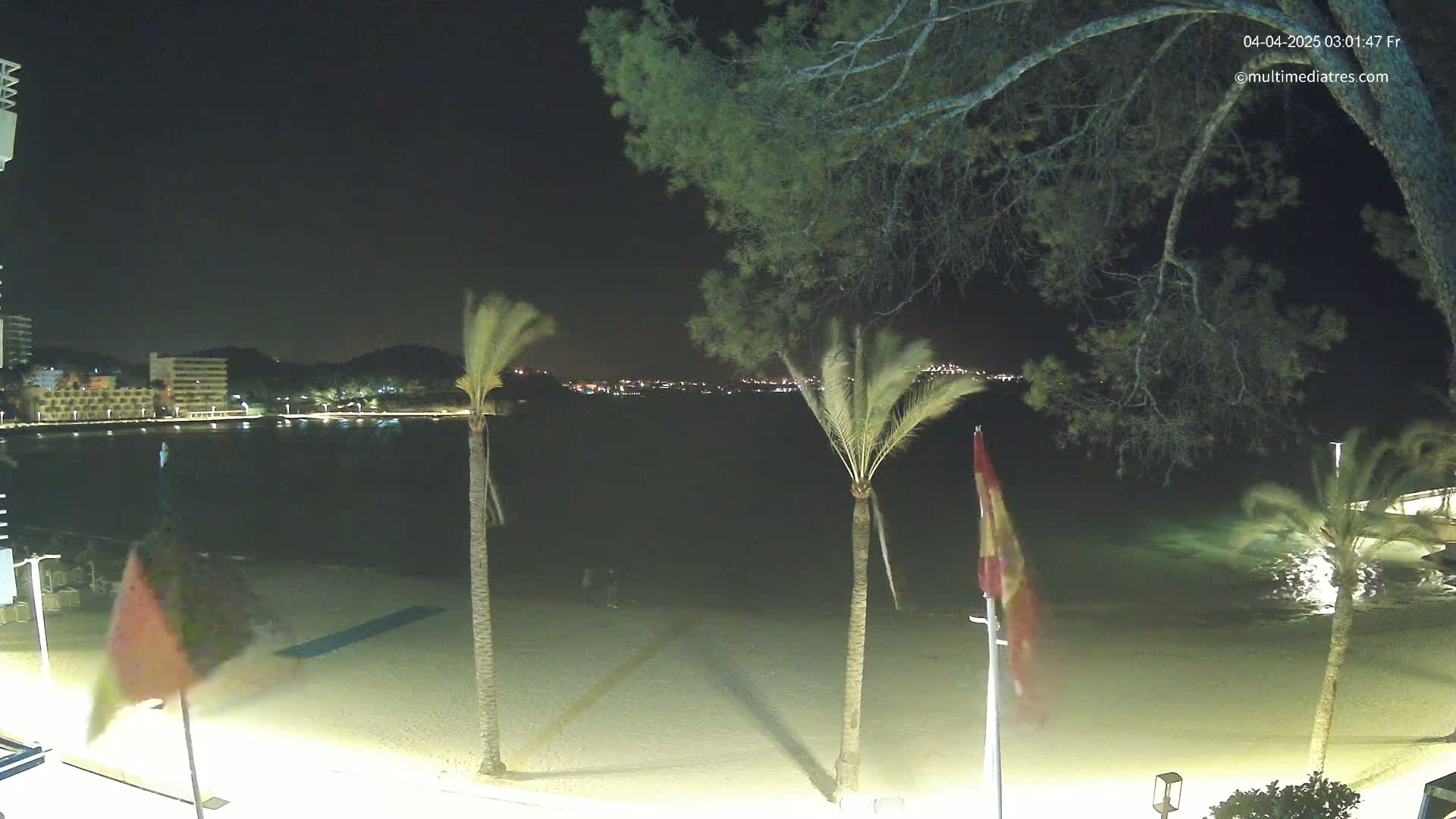 A nighttime view of a sandy beach, palm trees, and a calm body of water with a city skyline faintly visible in the distance under a clear, dark sky.