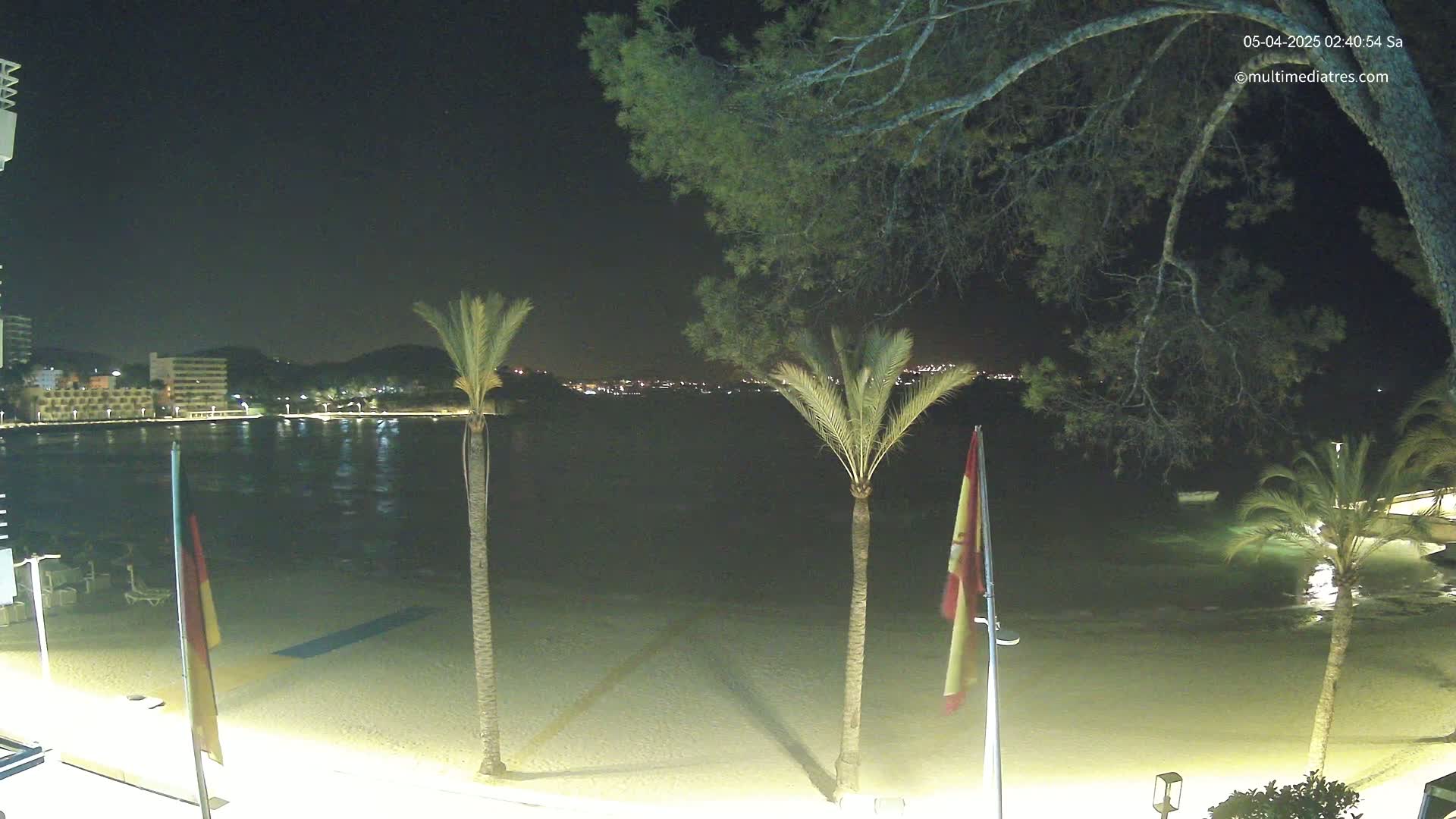 A nighttime view of a sandy beach with palm trees, calm water, and a distant illuminated cityscape under a clear, dark sky.