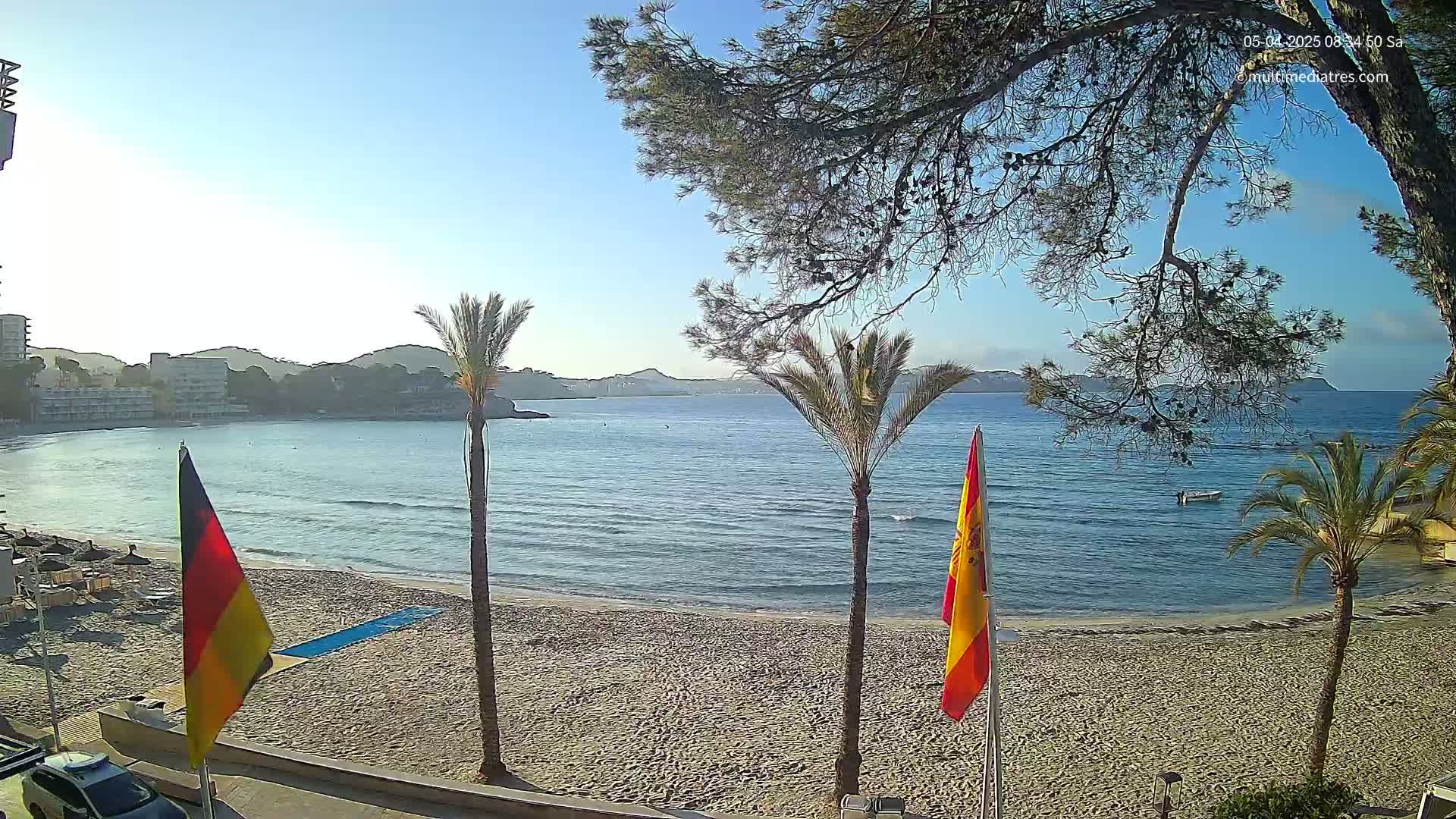A sandy beach with calm, blue water, palm trees, and flags is visible under a clear, sunny sky.