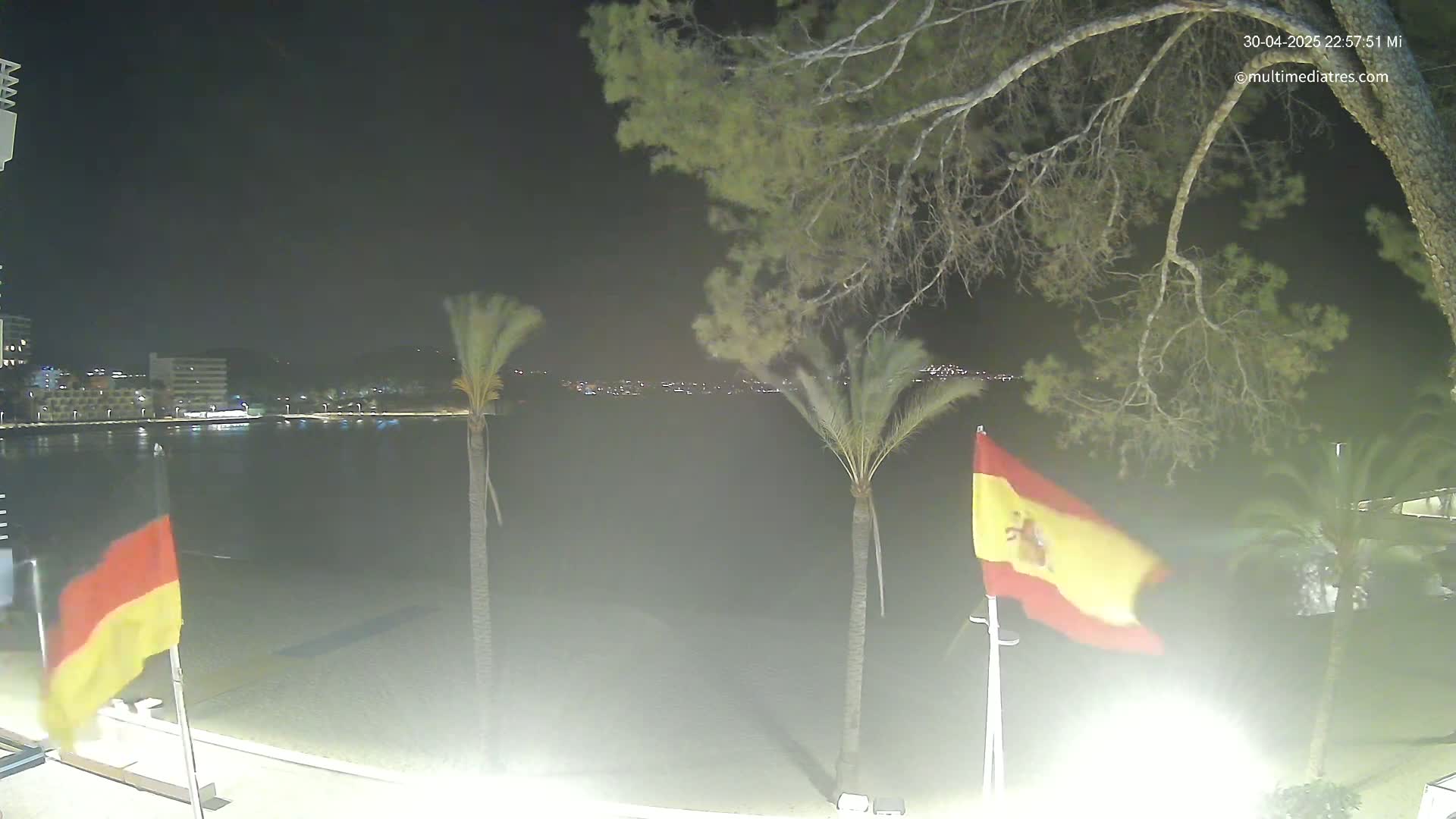 A nighttime view of a calm body of water, with palm trees and flags in the foreground and city lights across the water.
