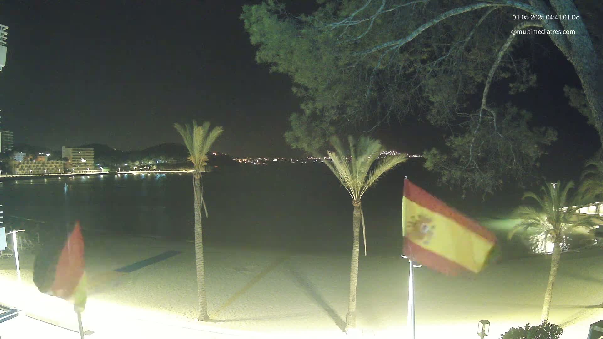 A nighttime beach scene shows a sandy shore, palm trees, a calm body of water, and a Spanish flag blowing gently in the wind, with city lights visible in the distance.