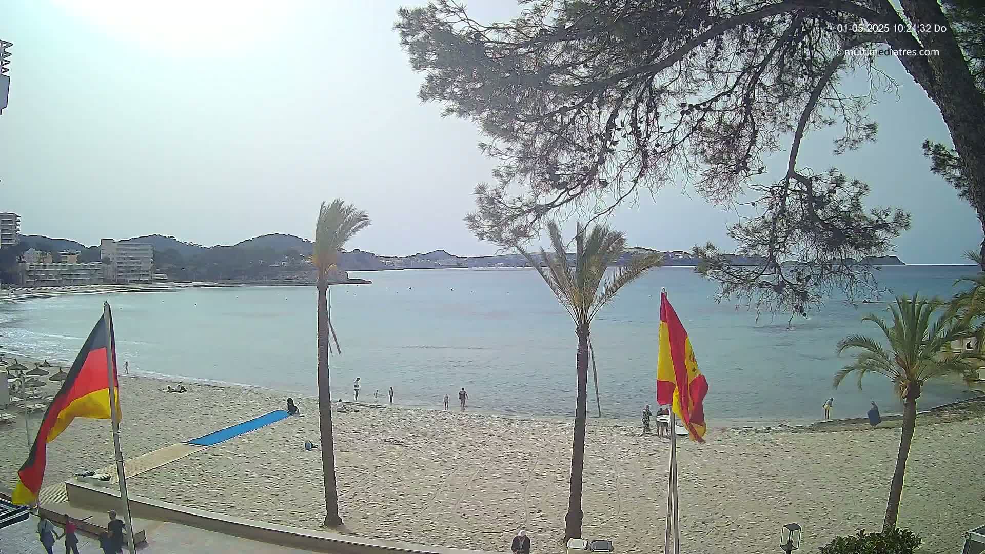 A sandy beach with calm, light blue water, palm trees, and a few people is seen under an overcast sky.