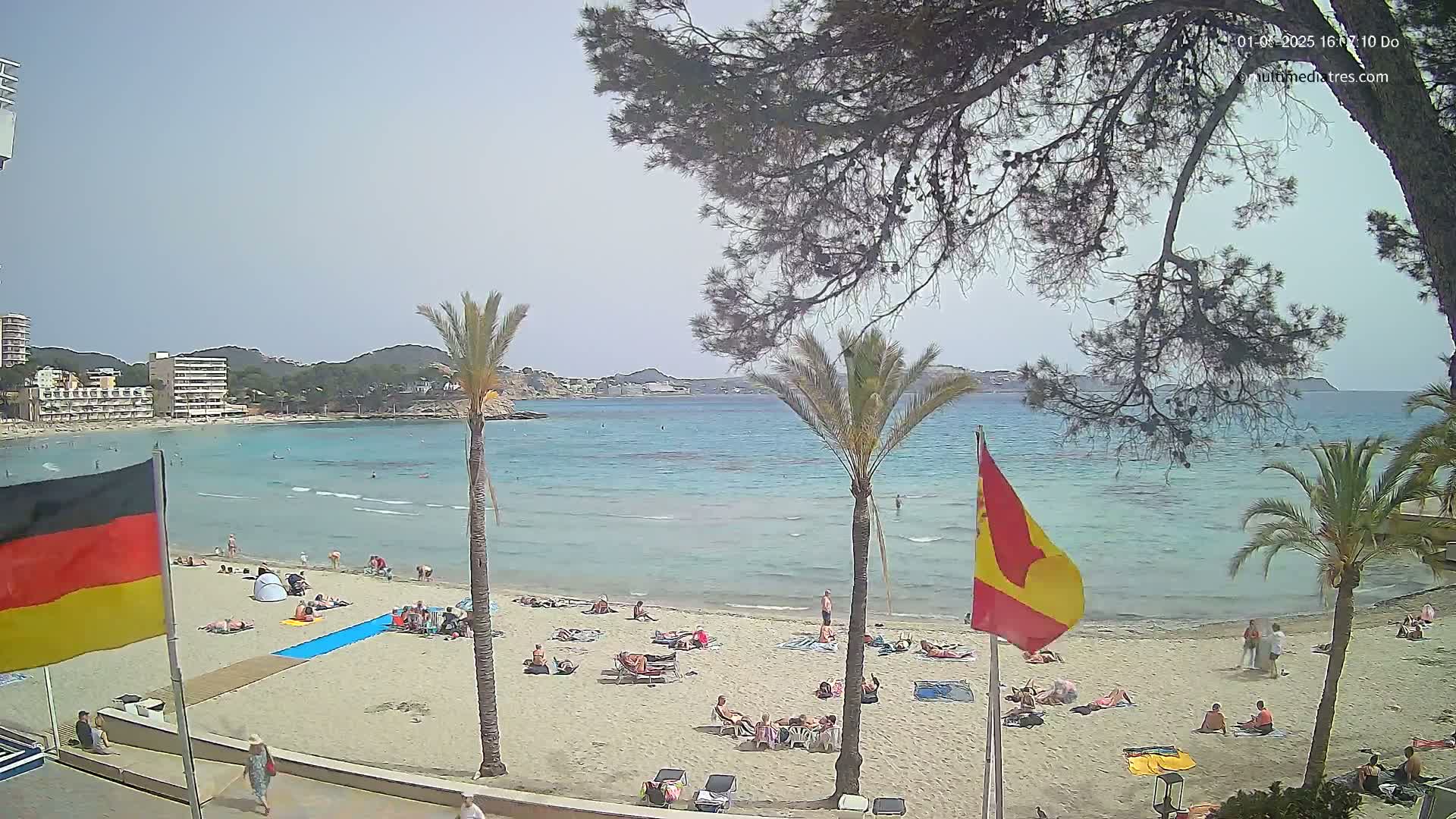 A sandy beach with sunbathers and palm trees overlooks a calm, turquoise sea under a clear, sunny sky.