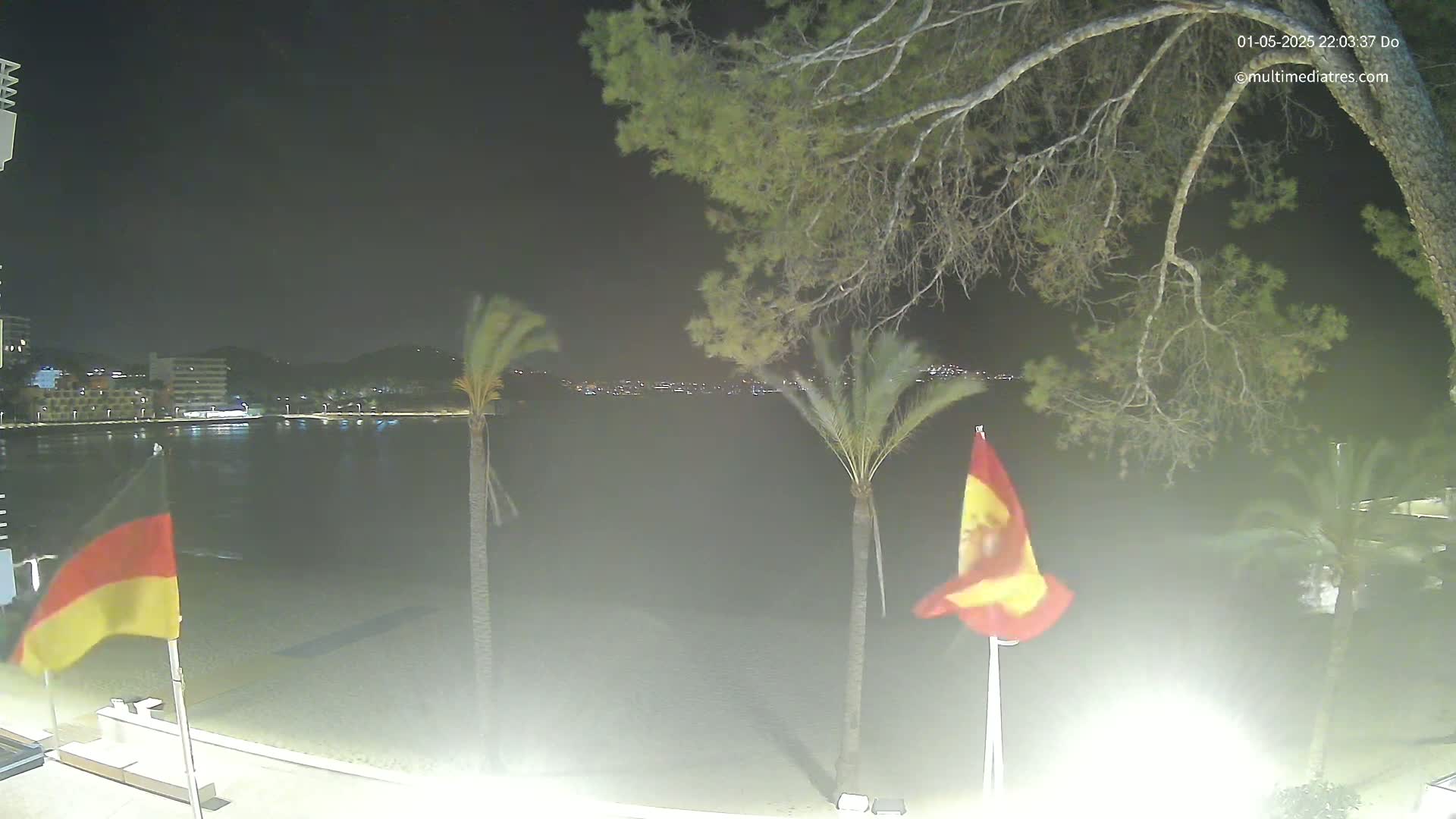 A nighttime view of a beach with calm water, palm trees, and flags, under a dark, clear sky.