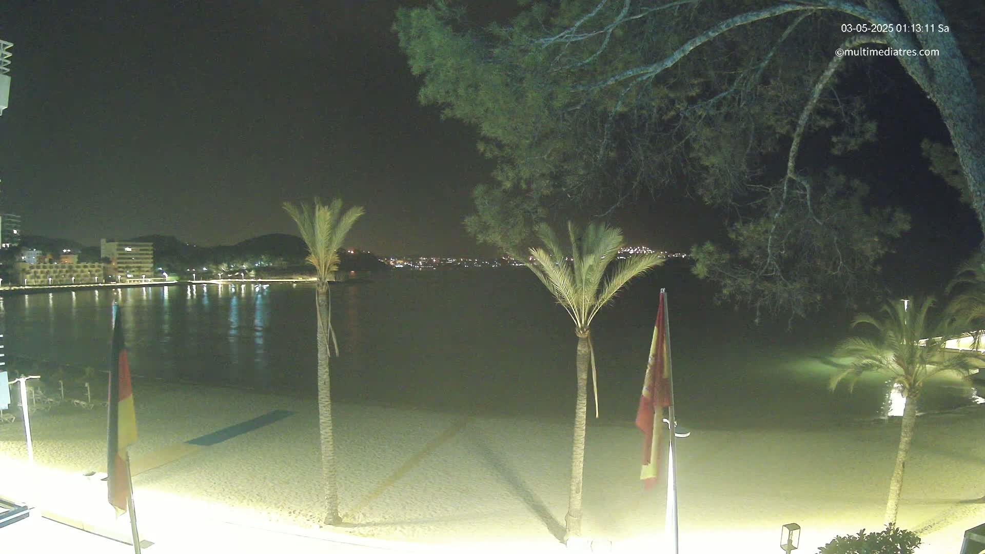 A nighttime view of a calm beach with palm trees, flags, and a city skyline in the distance.