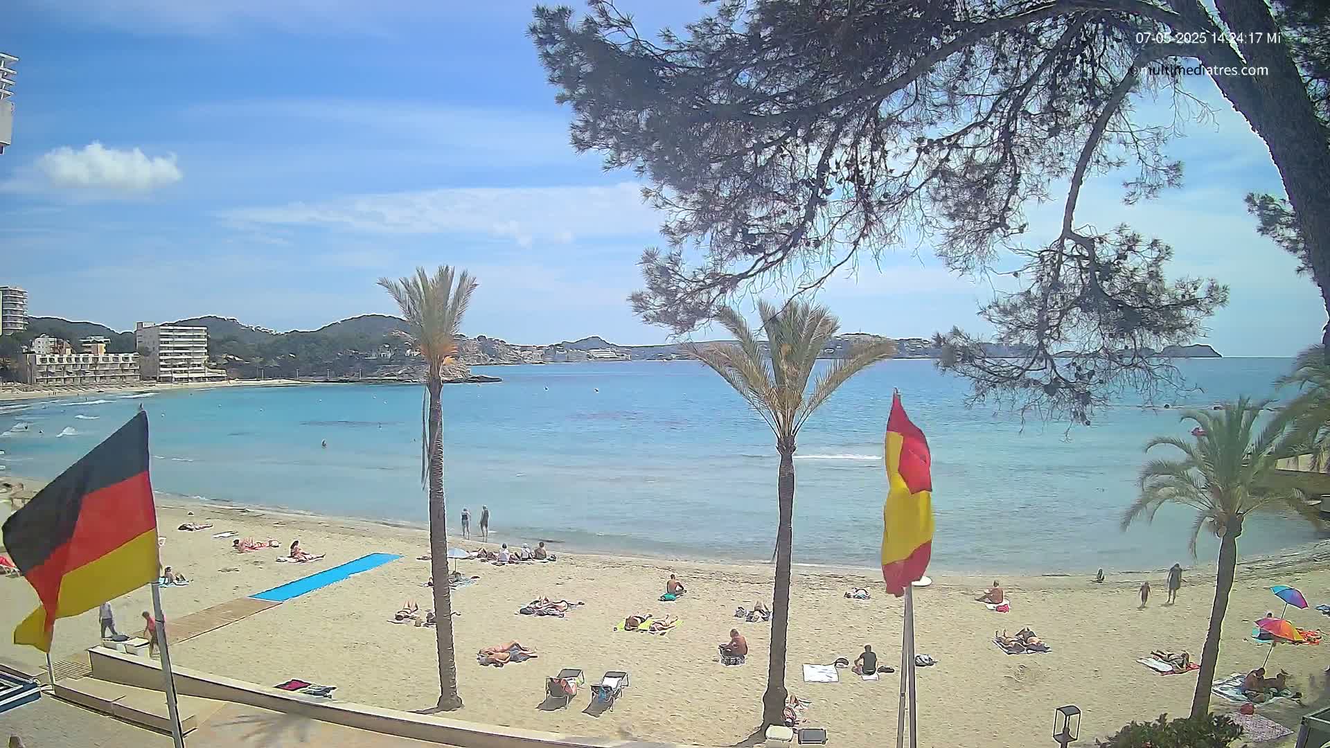 A sunny beach scene shows a sandy shore with scattered sunbathers, calm turquoise water, and palm trees under a mostly clear sky, partially obscured by tree branches.