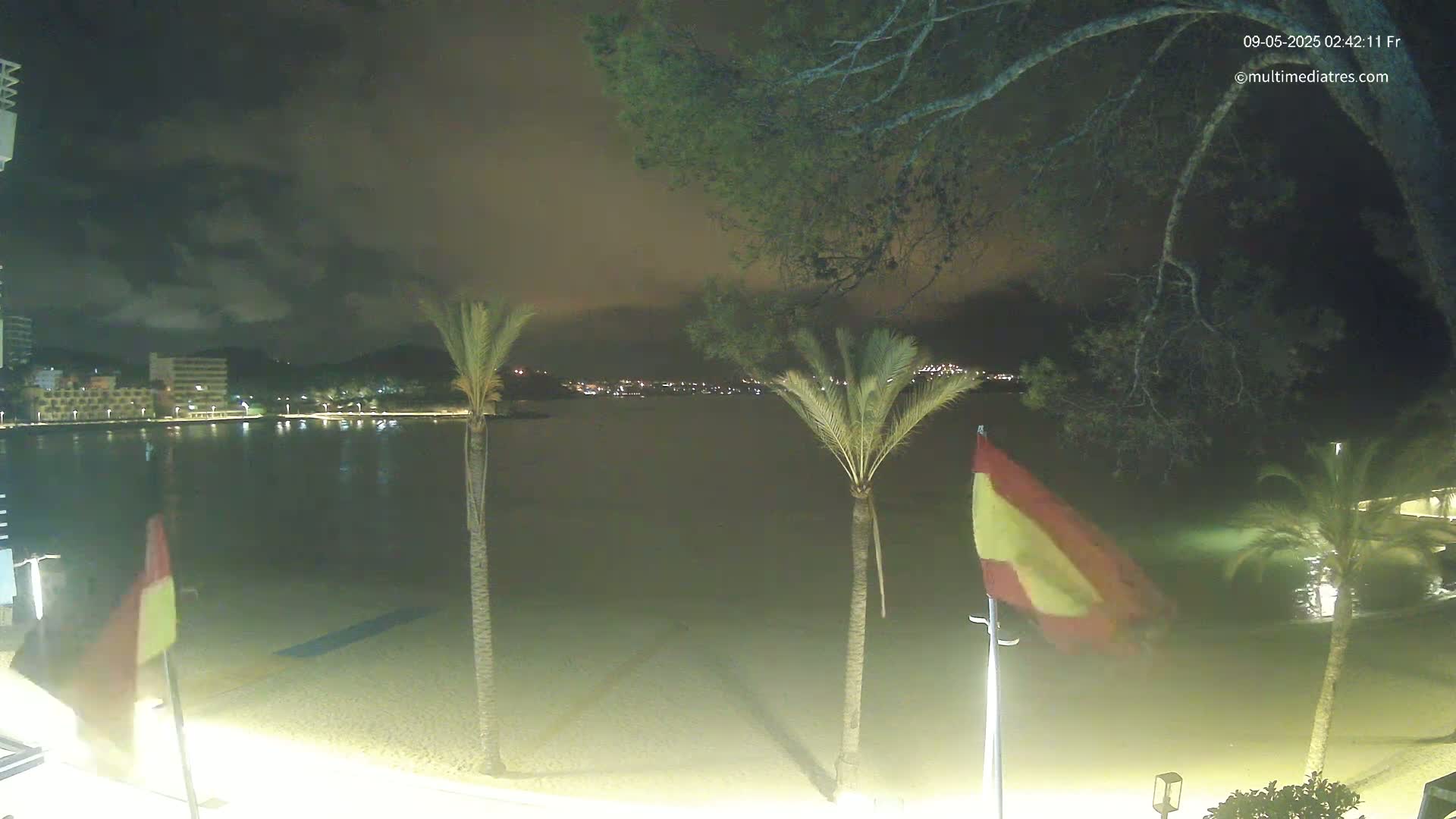 A nighttime view of a beach with palm trees, calm water, and buildings in the distance under a partly cloudy sky.