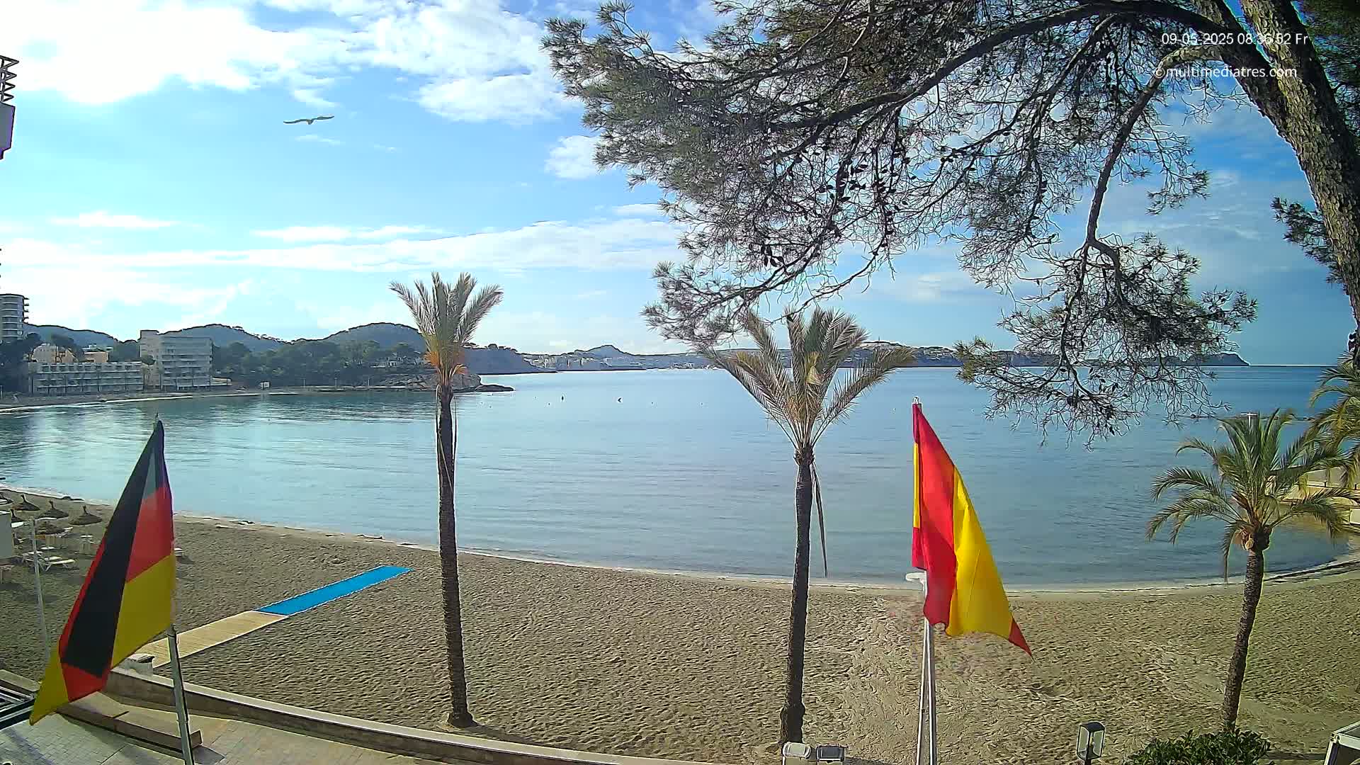 A sandy beach with palm trees and flags borders a calm bay under a partly cloudy sky.