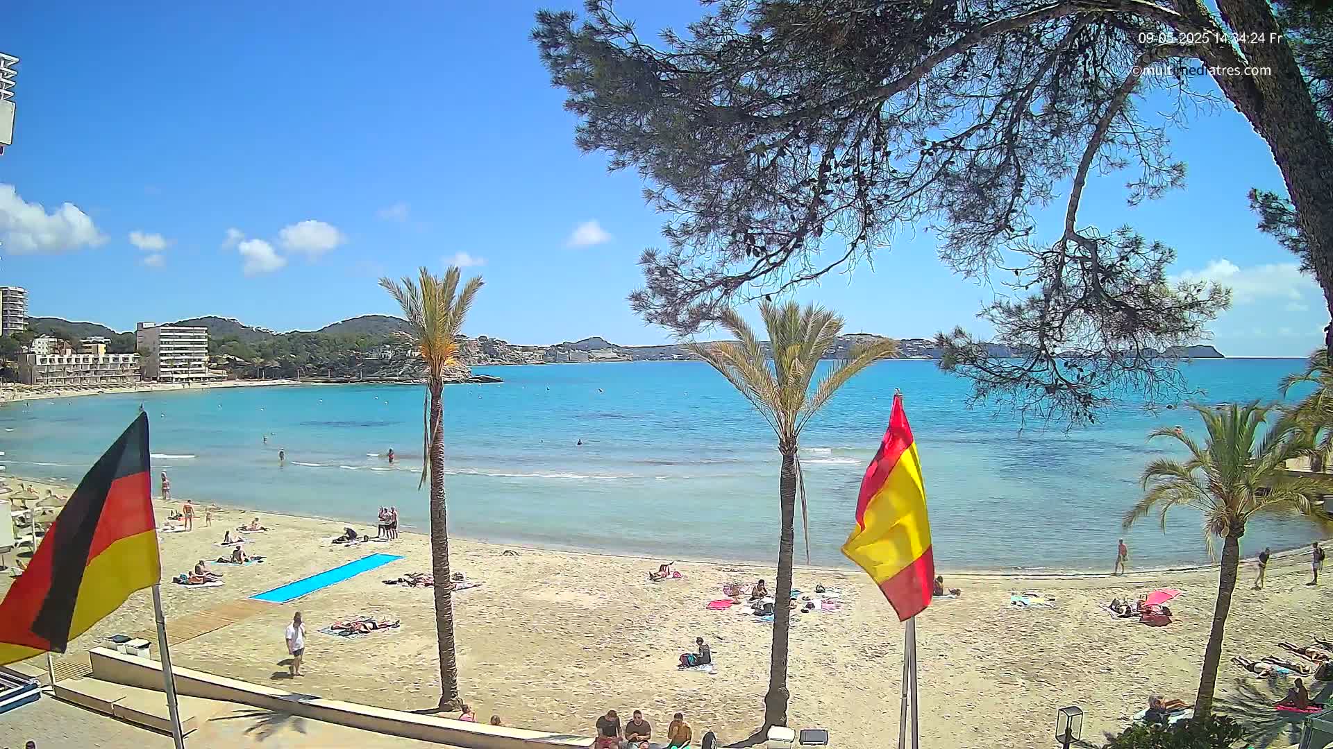 A sunny beach scene shows a calm, turquoise ocean, sandy shore with scattered sunbathers, palm trees, and buildings in the distance.