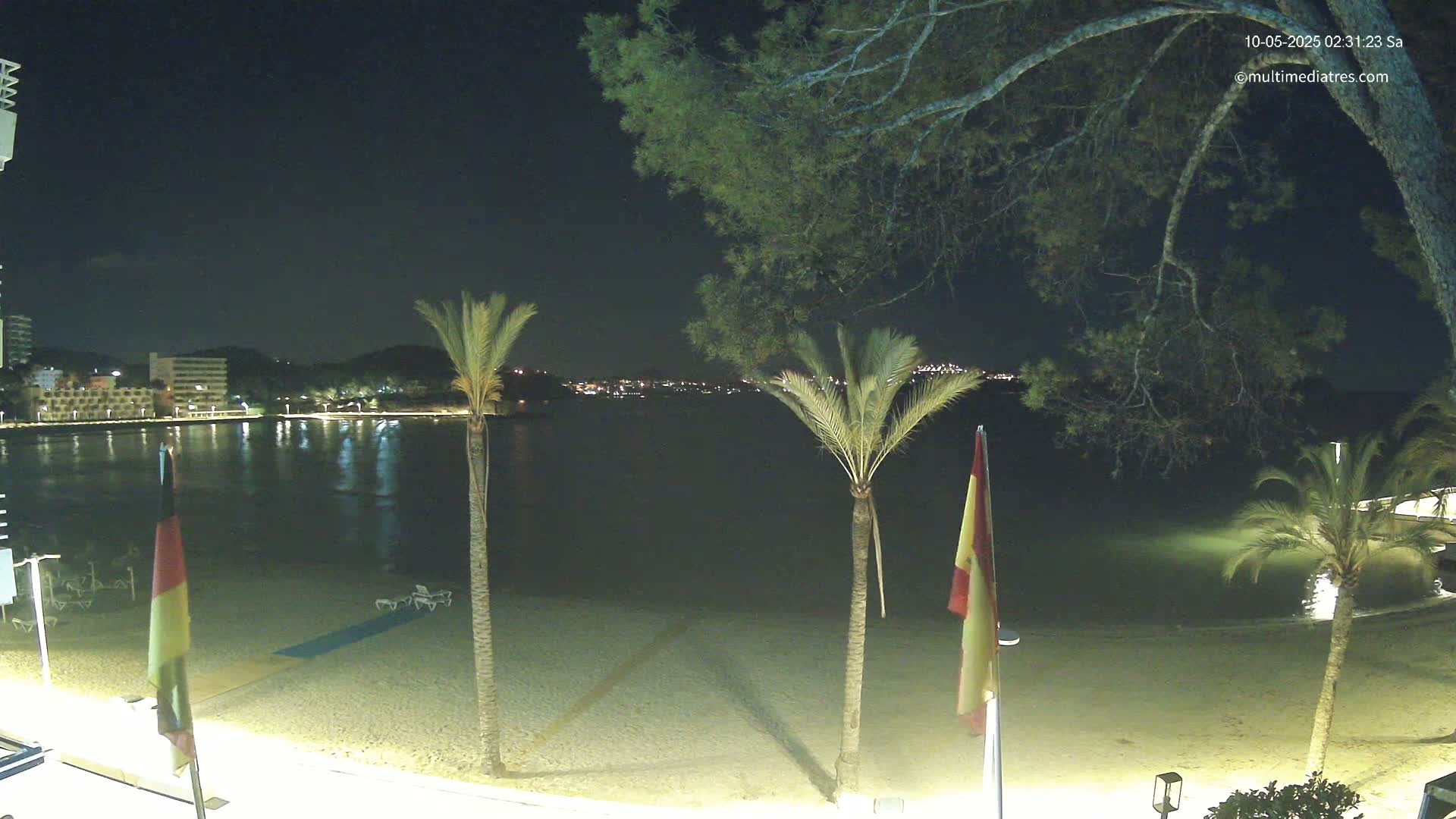 A nighttime view of a sandy beach, calm water, palm trees, and distant city lights under a clear sky.