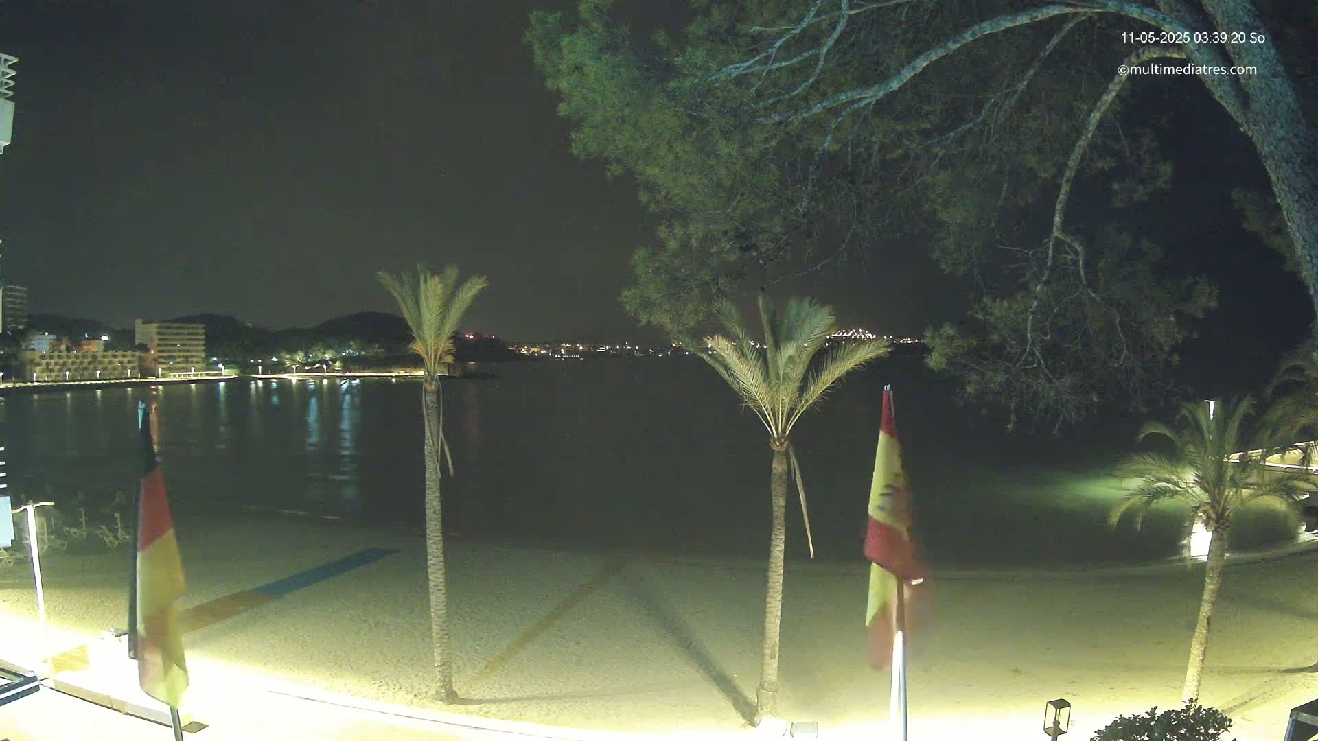 A nighttime view of a sandy beach with palm trees and flags, overlooking a calm body of water and a distant cityscape under a clear, dark sky.