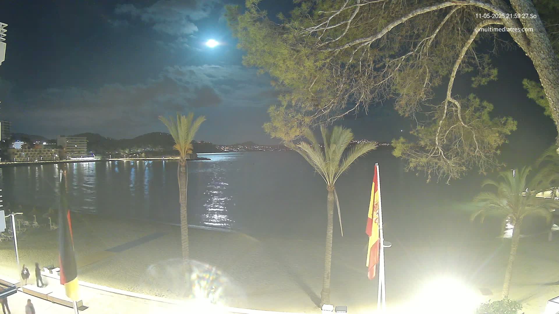 A nighttime view of a calm bay with a sandy beach, palm trees, and a bright moon in a partly cloudy sky.