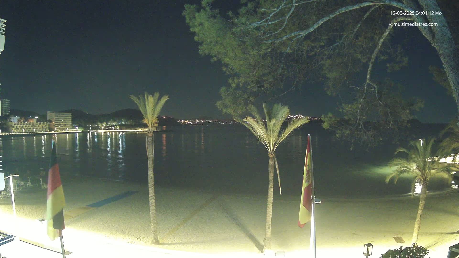 A nighttime view of a sandy beach with palm trees, calm water reflecting city lights across a bay, and flags on poles.