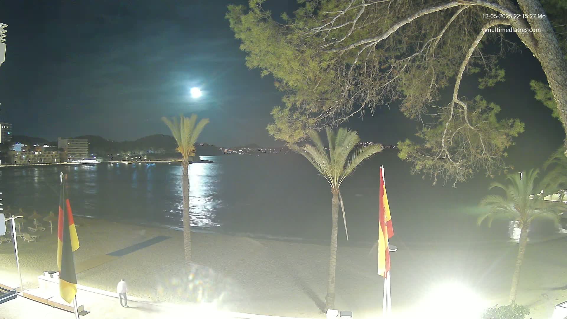 A nighttime beach scene under a bright moon, showing a calm body of water, palm trees, and flags, with a person walking along the shoreline.