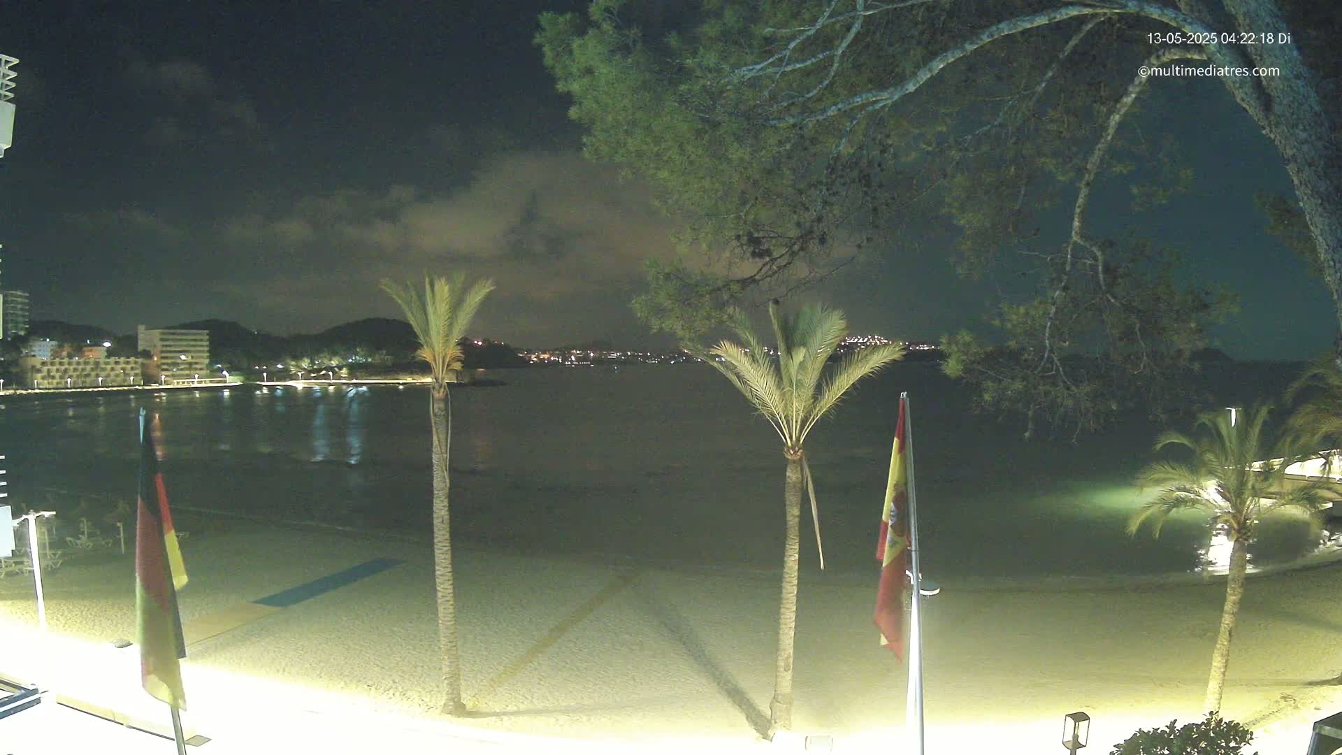 A nighttime view of a calm beach with palm trees, city lights across the water, and flags on flagpoles.