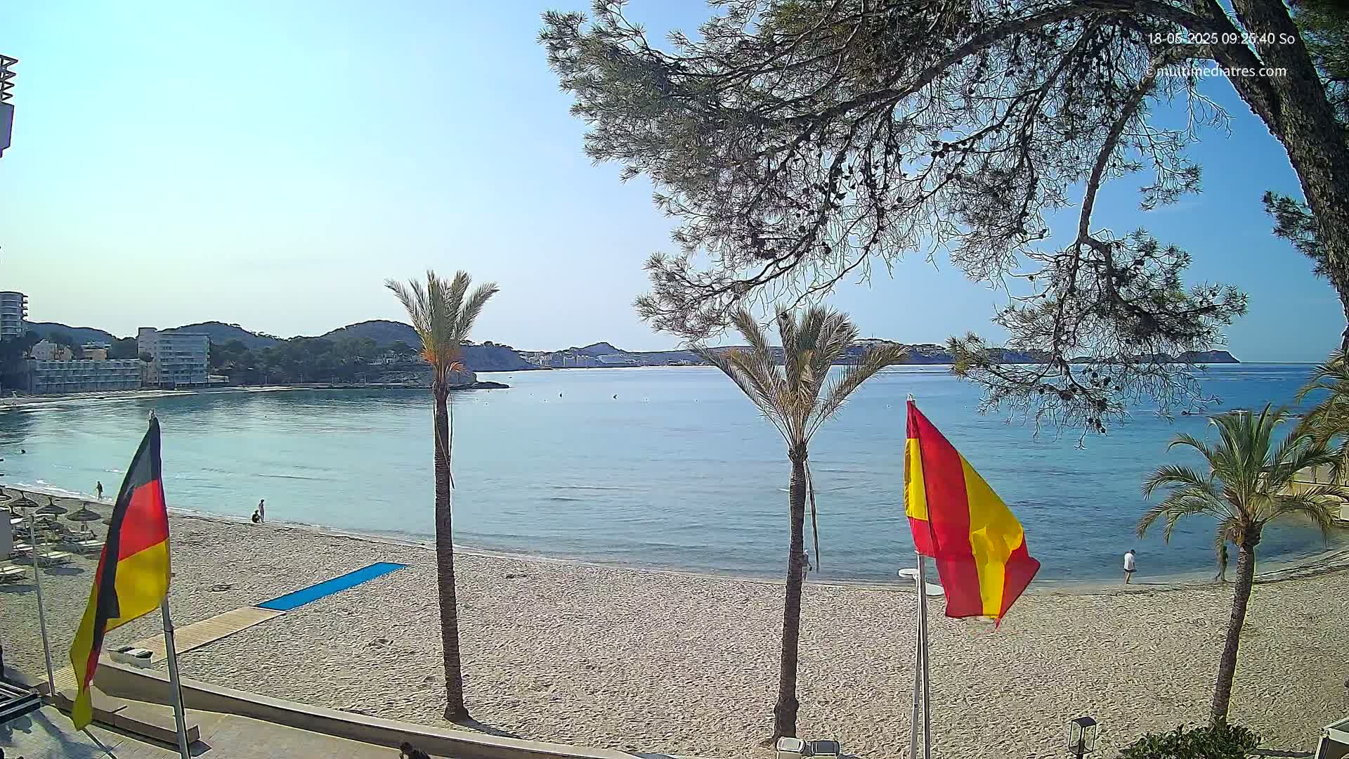A sandy beach with palm trees and flags, overlooking a calm, clear bay under a sunny sky.