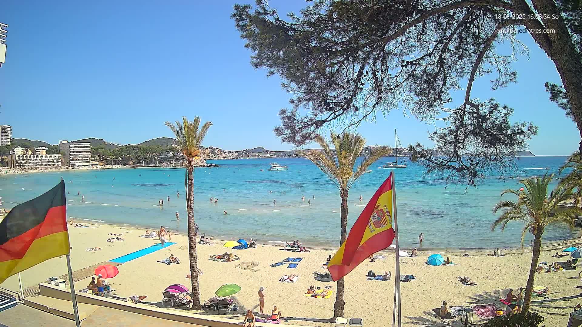 A sunny beach scene shows a sandy shore with scattered sunbathers, palm trees, and clear turquoise water, with buildings and hills visible in the distance.