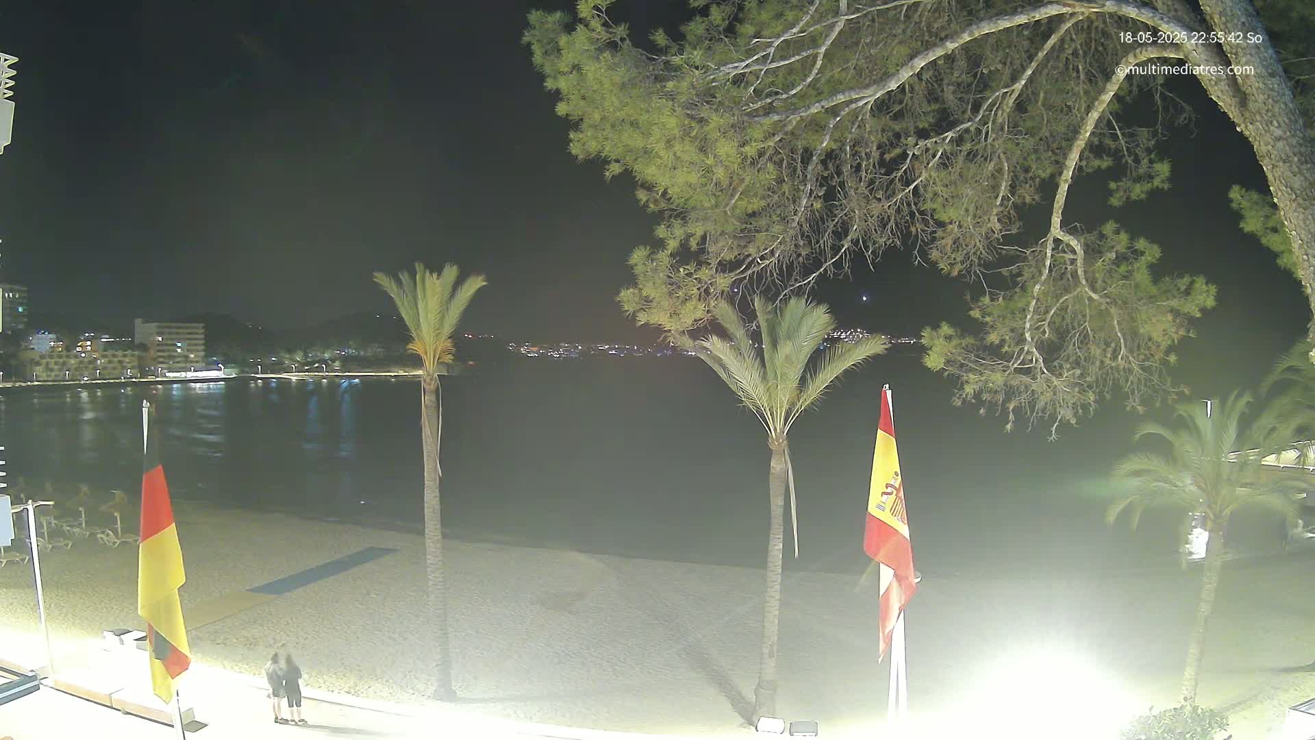 A nighttime view of a beach with palm trees, two flags, and a calm body of water reflecting lights from buildings across the water.
