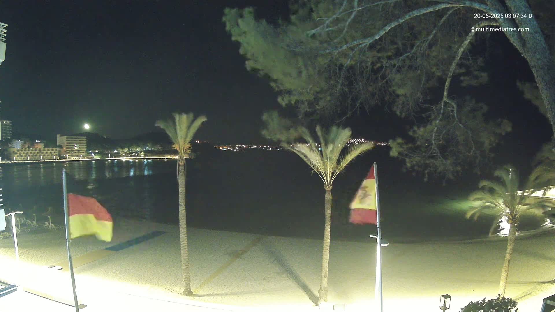 A nighttime beach scene shows a calm body of water reflecting lights from buildings across the water, three palm trees with flags waving in the wind, and a sandy beach under a mostly clear night sky.