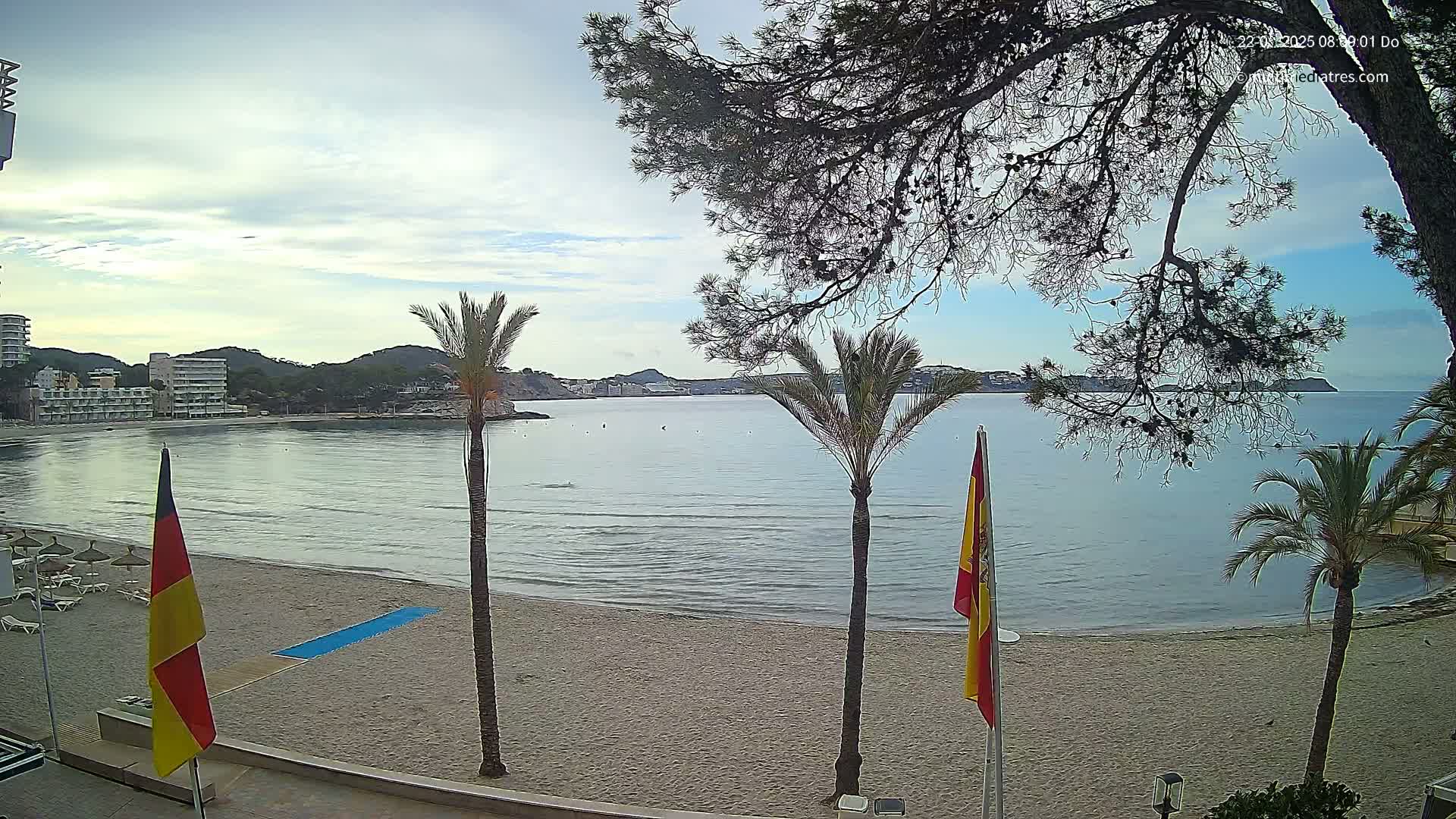 A sandy beach with calm, clear water and palm trees under a partly cloudy sky.