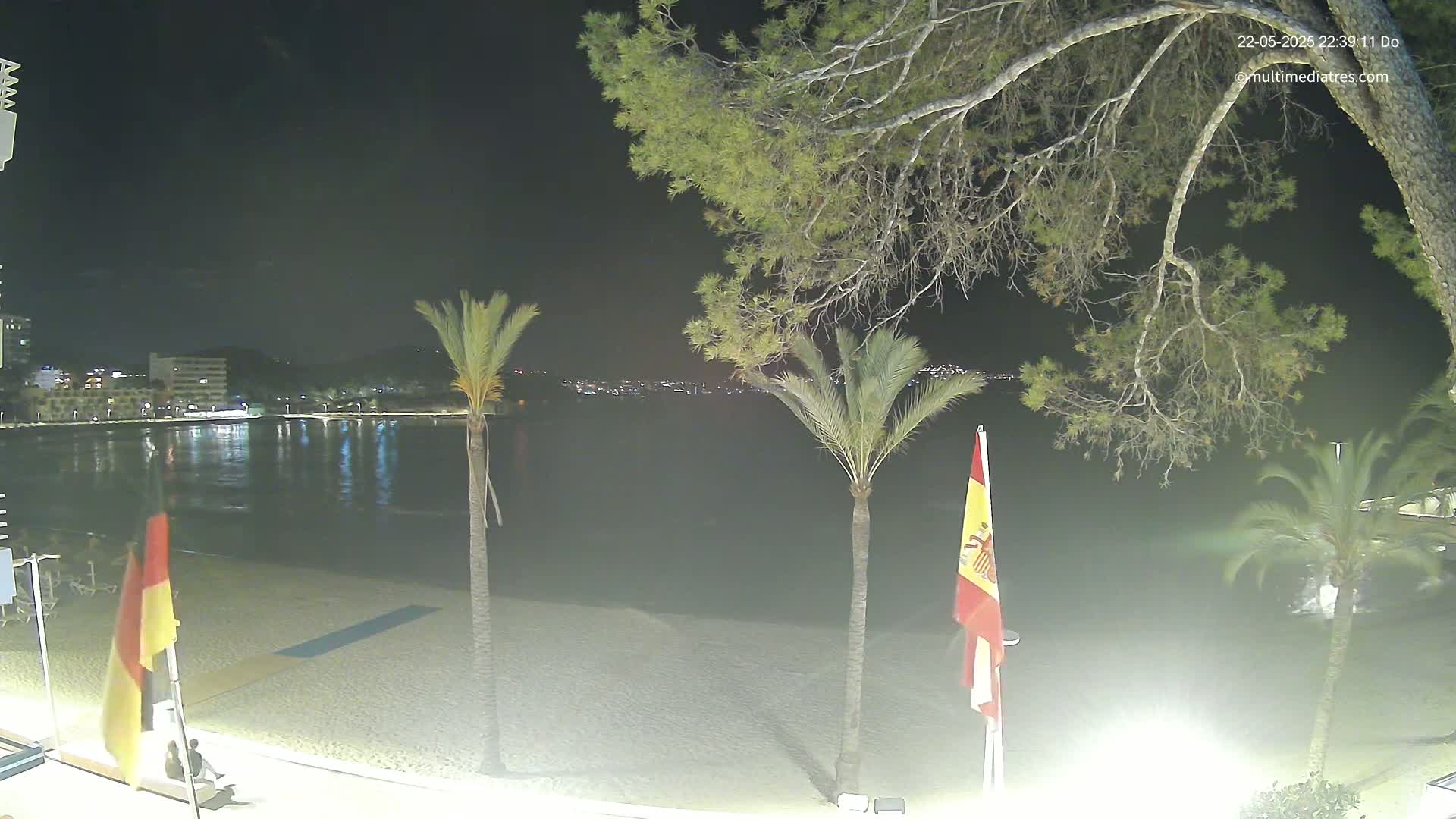 A nighttime beach scene shows calm water, a sandy shore, palm trees, flags, and distant lights across the water under a dark sky.