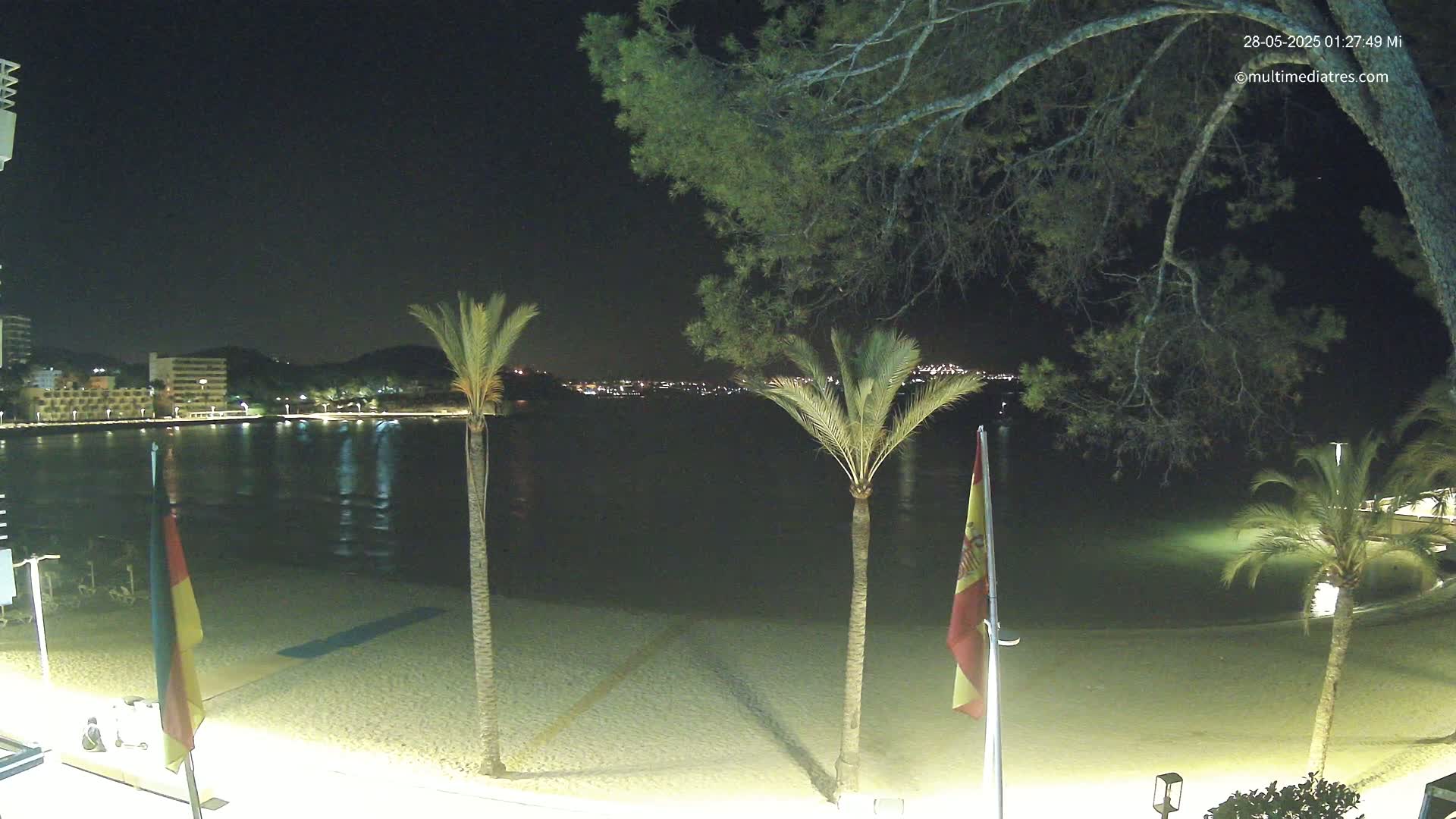 A nighttime beach scene shows a calm body of water reflecting lights from buildings across the water, with palm trees and flags on a sandy shore under a clear, dark sky.