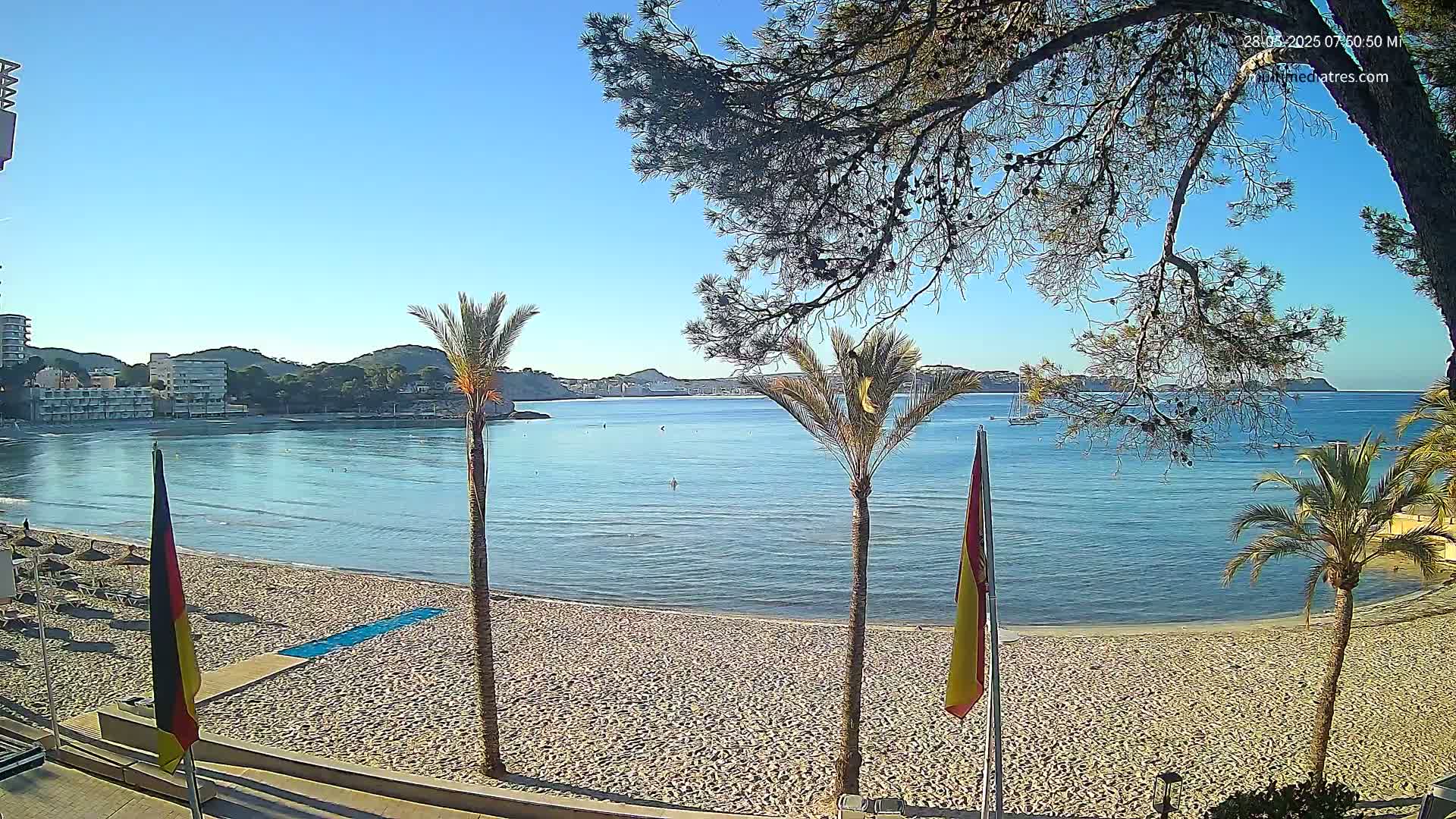 A sandy beach with calm blue water, palm trees, and buildings in the background under a clear blue sky.