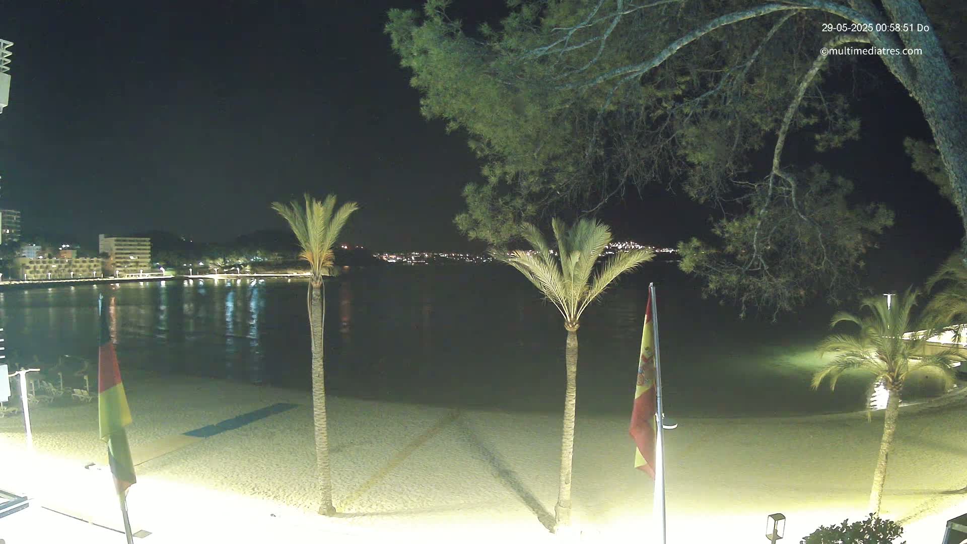 A nighttime view of a calm beach with palm trees, flags, and city lights across the water.