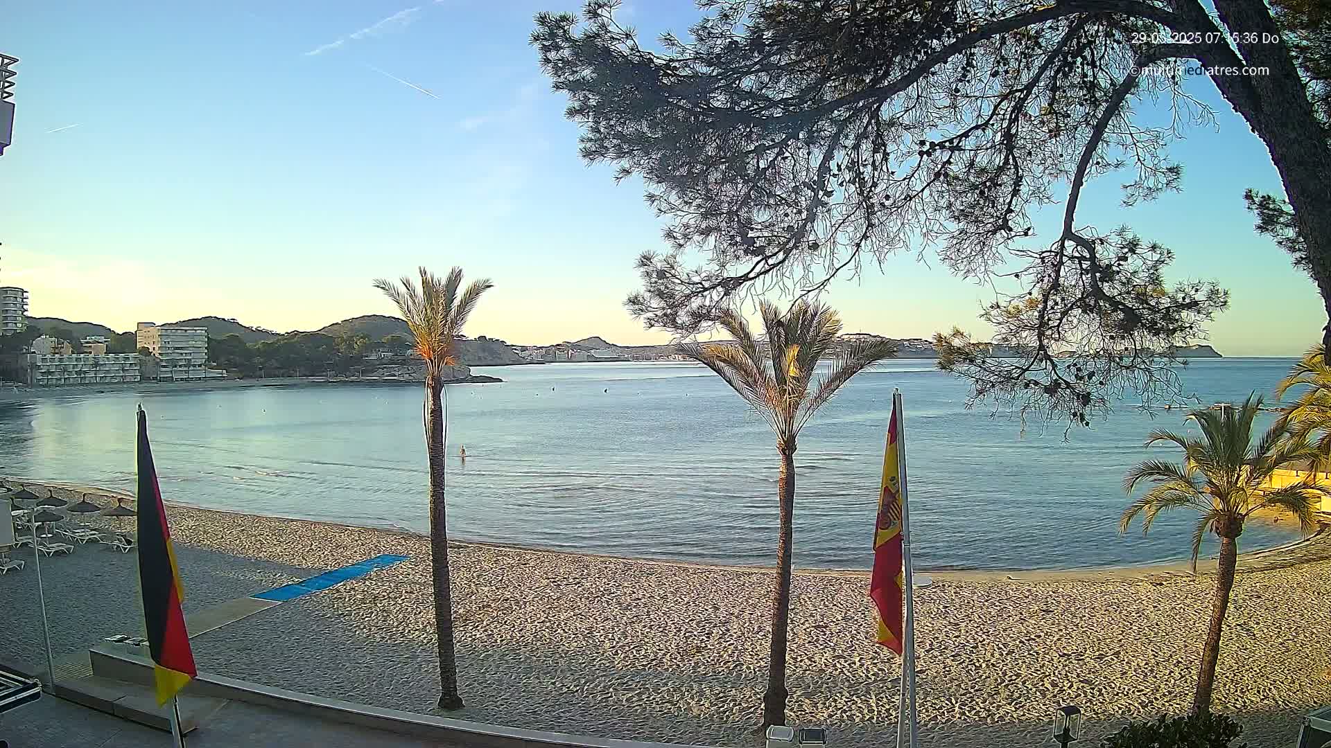 A sandy beach with calm water and palm trees under a clear blue sky, with buildings visible in the distance.