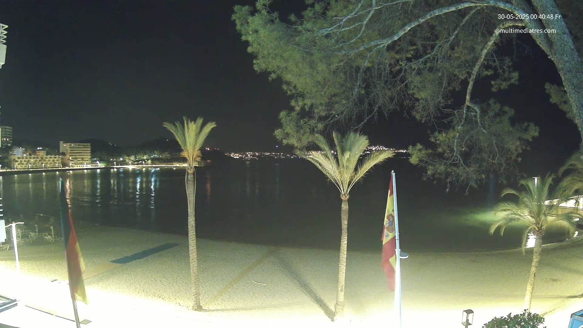 A nighttime view of a sandy beach with palm trees, calm water reflecting city lights across the bay, and flags on poles.