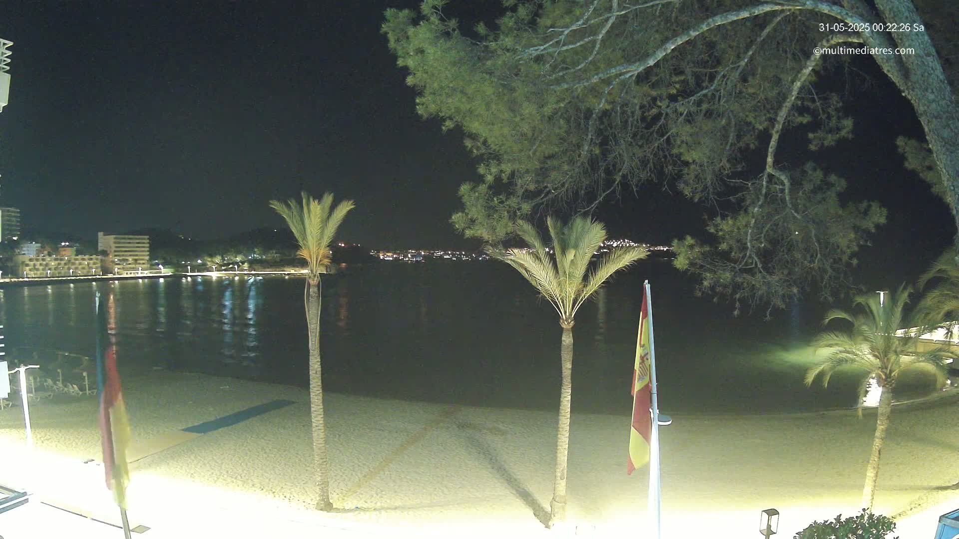 A nighttime beach scene shows calm water reflecting lights from buildings across the bay, with palm trees and flags on a sandy shore under a clear, dark sky.