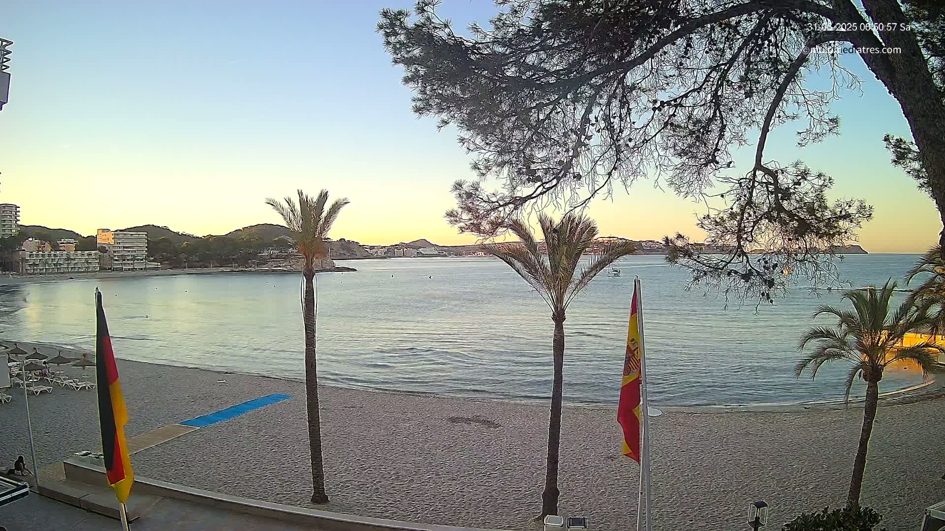 A sandy beach with calm water, palm trees, and buildings in the background under a clear, twilight sky.