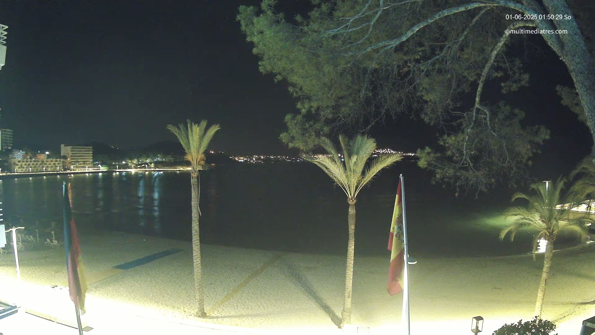A nighttime view of a sandy beach with palm trees, calm water, and city lights across the bay under a clear sky.