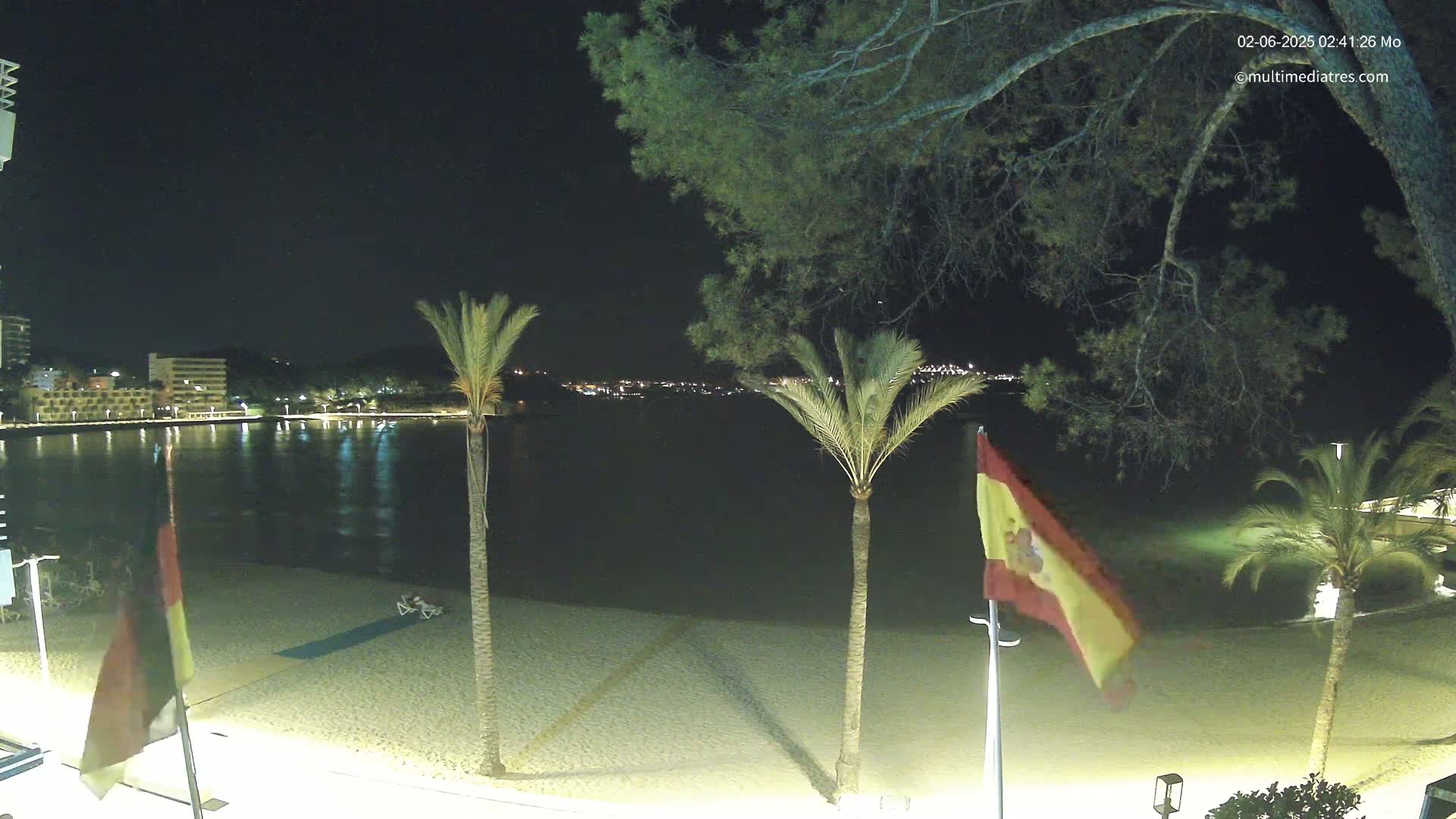 A nighttime view of a sandy beach, palm trees, and flags, overlooking a calm body of water with lights on the far shore under a clear, dark sky.