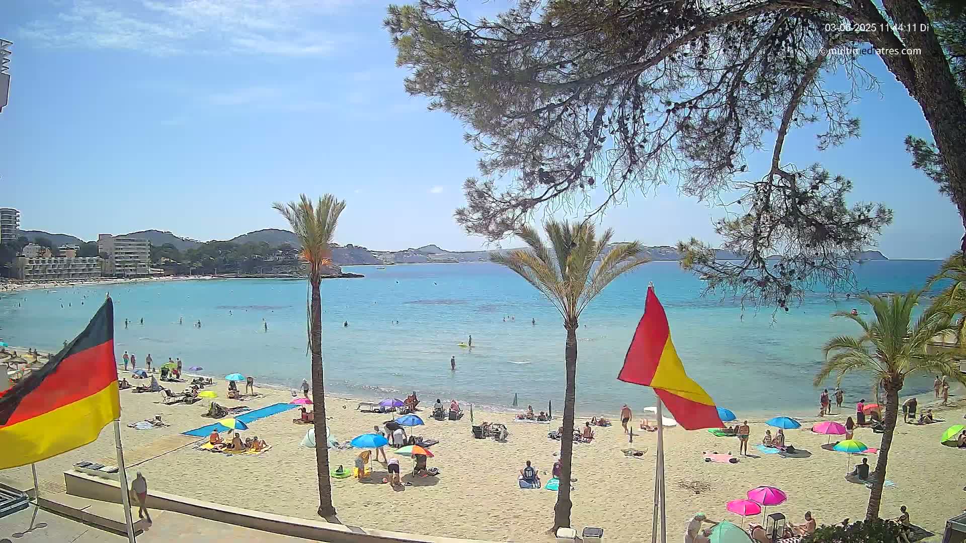 A sunny beach scene shows a calm, turquoise sea, sandy shore with numerous beach umbrellas and people relaxing, and palm trees and pine trees framing the view.