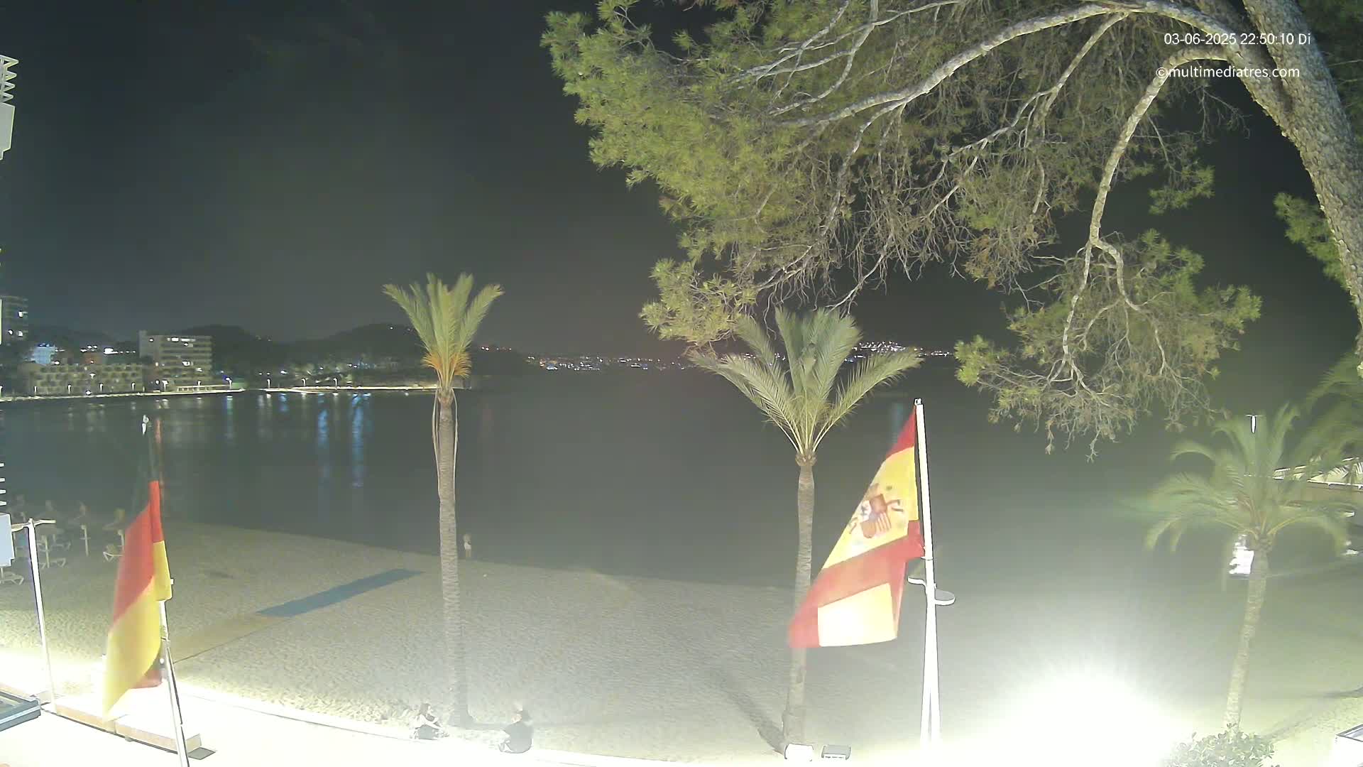 A nighttime view of a sandy beach with calm water, palm trees, and flags, overlooking a city illuminated by lights across the bay under a dark, clear sky.