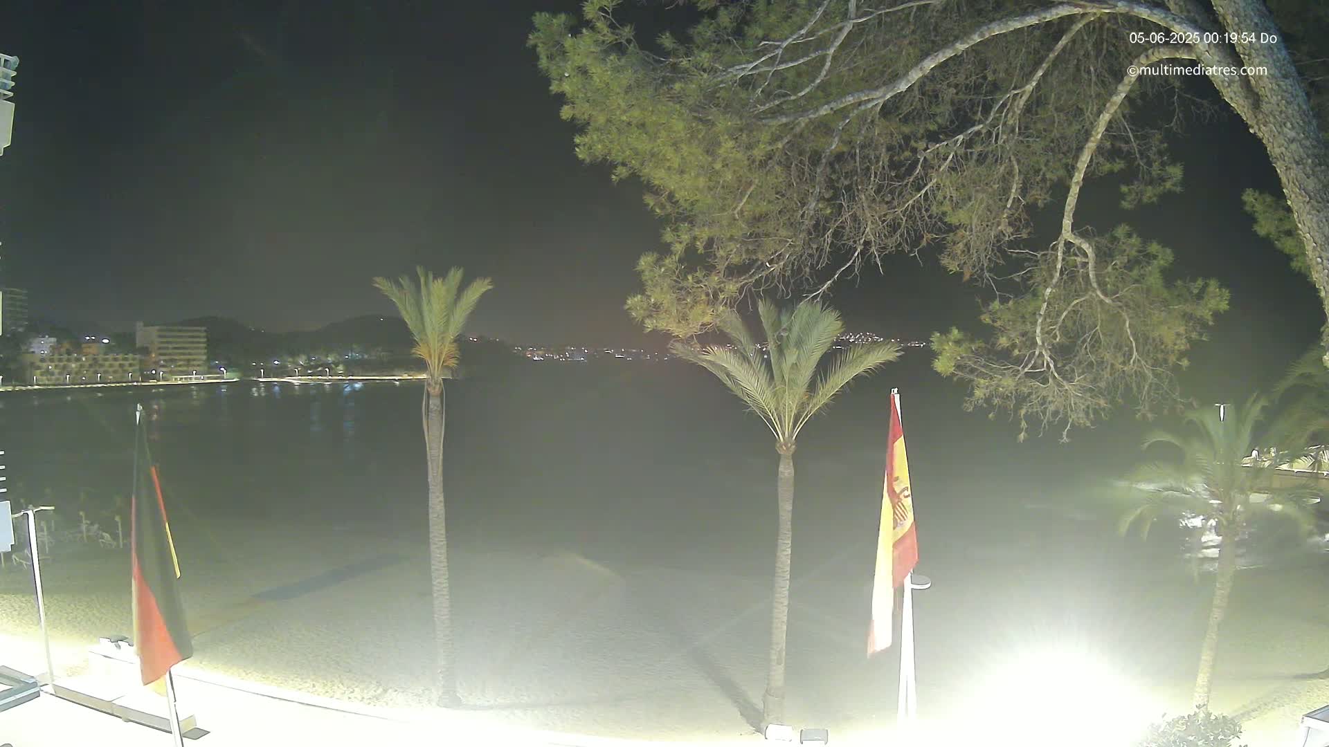 A nighttime view of a sandy beach with palm trees, flags, and a calm body of water, with lights visible across the water and in the background.