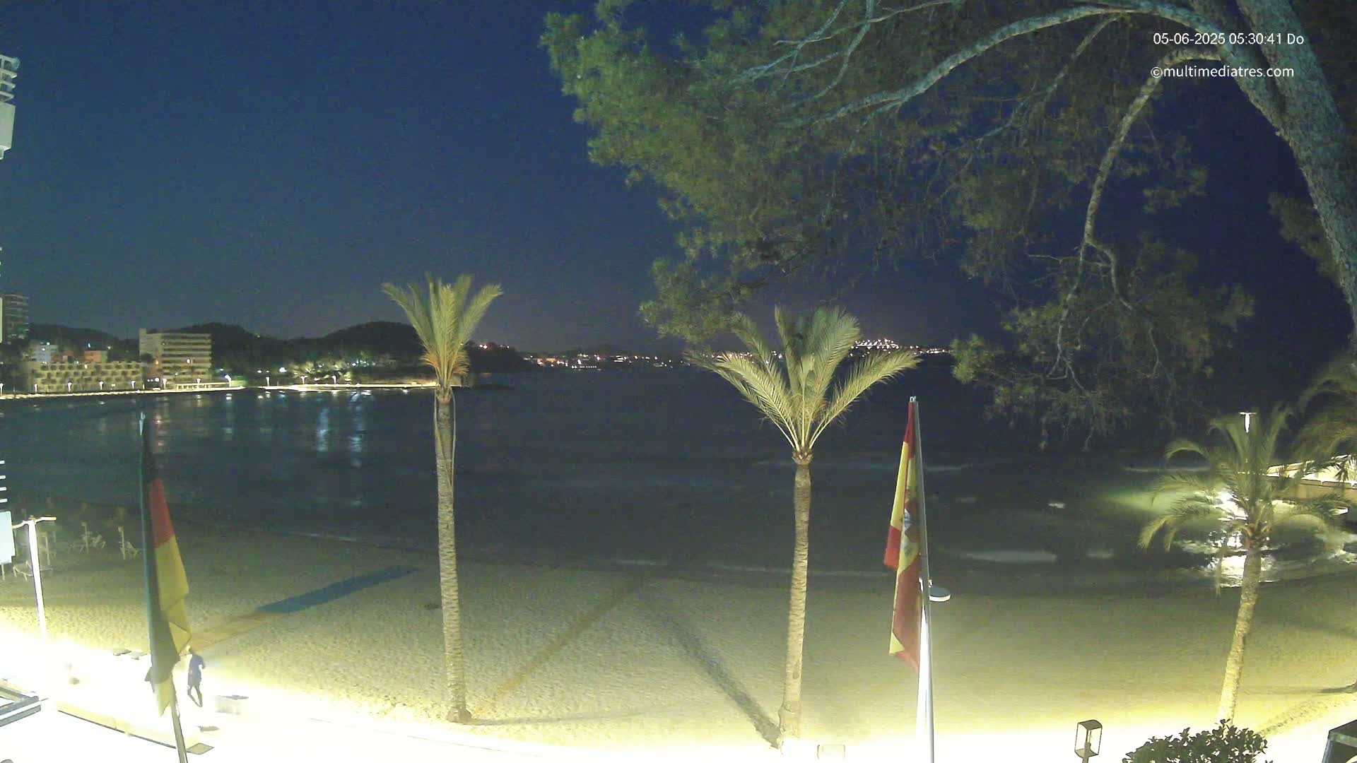 A night-time view of a beach with calm water, palm trees, and buildings in the distance under a clear, dark sky.